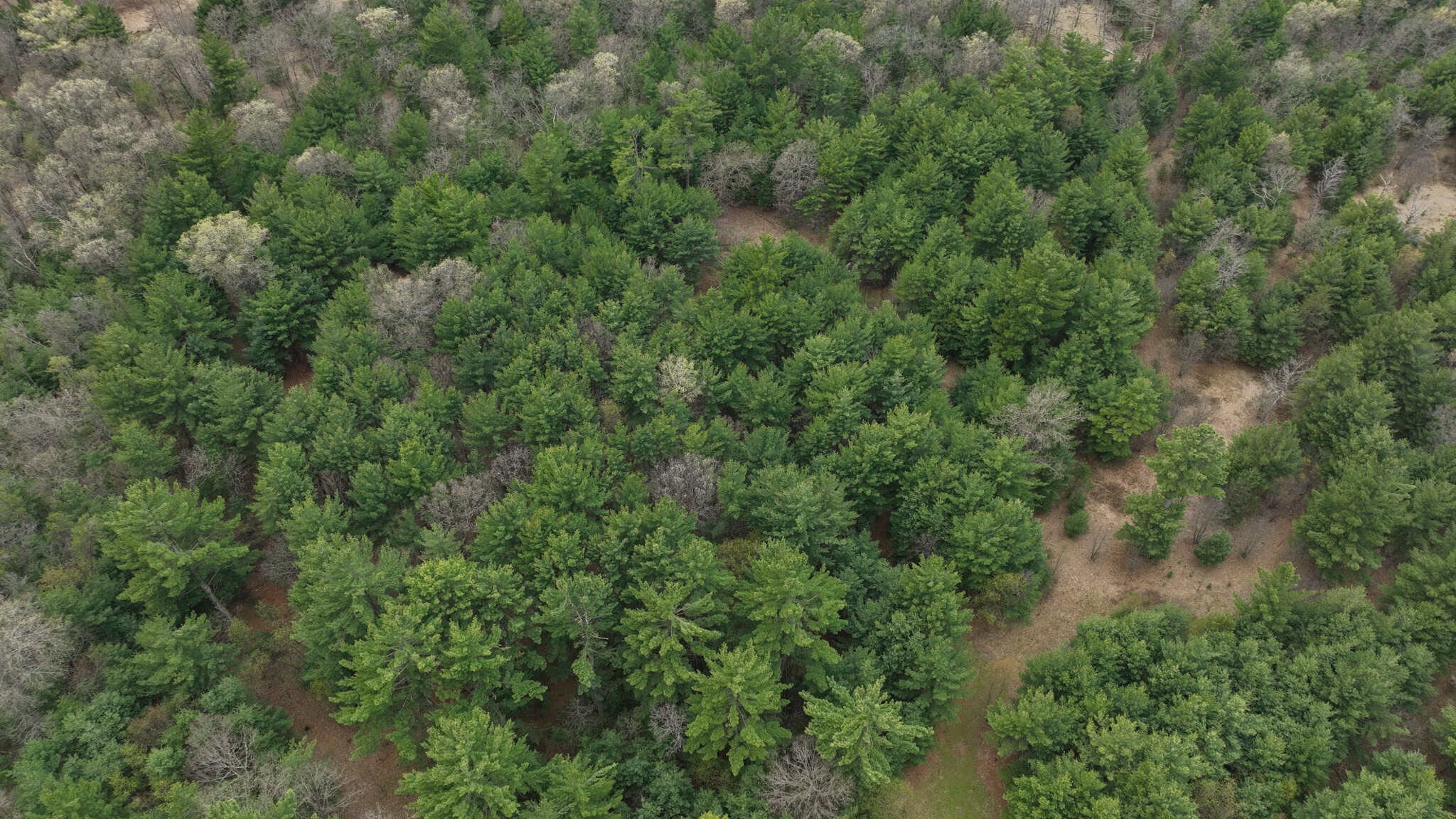 17.54-Acre Adams County, Wisconsin Buildable Land for Sale | Recreational, Investment & Development Potential