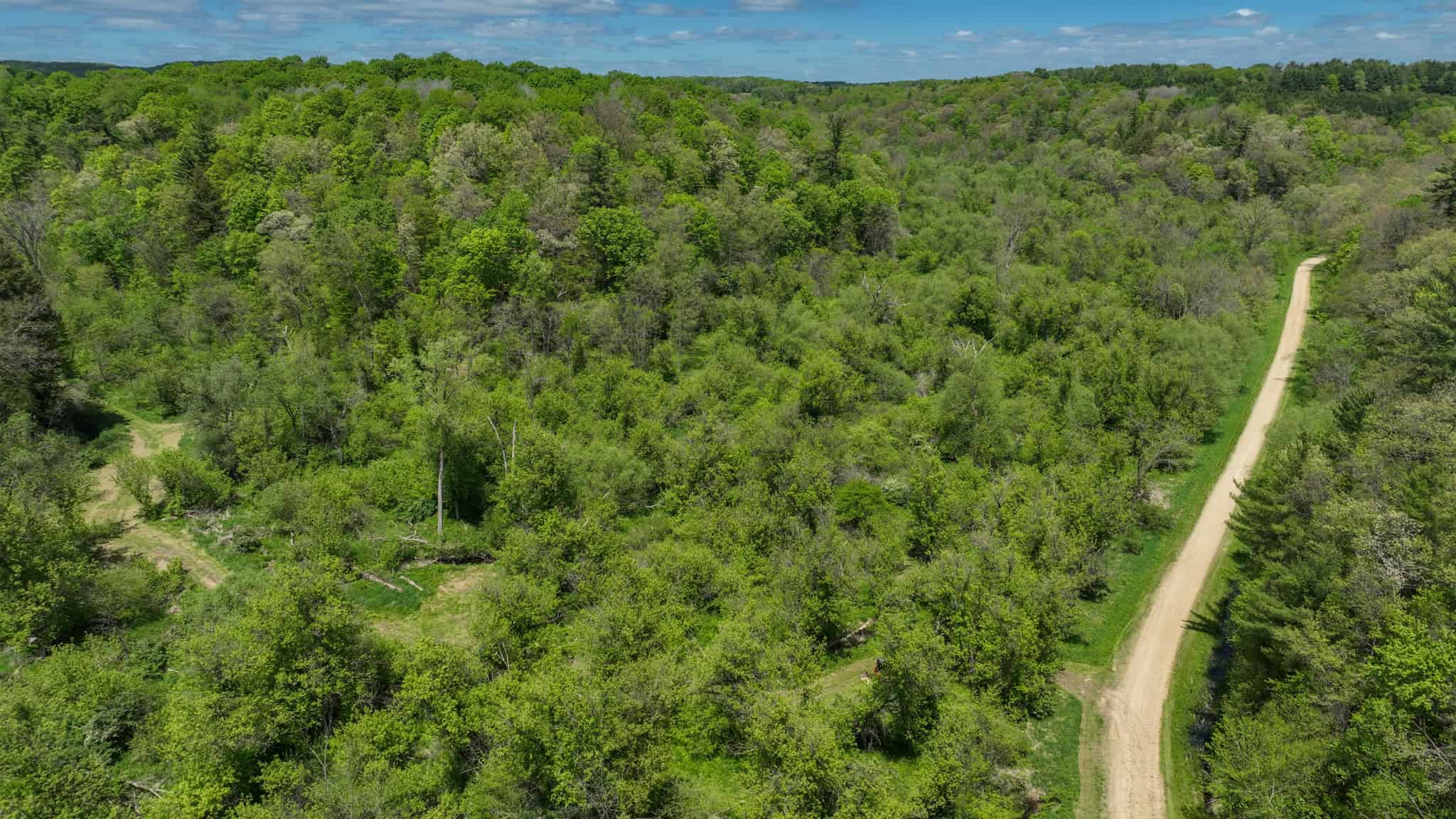 Three Ridges at Big Creek | 70± Acres of Recreational Land for Sale Near Lake Redstone | Juneau County, WI