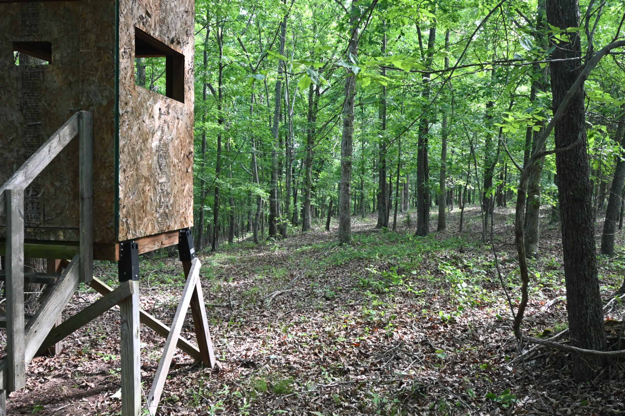Tennessee Woods Land For Sale! 59.28 ac only minutes to TN River!