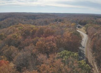 8 Unrestricted Wooded Acres For Sale!