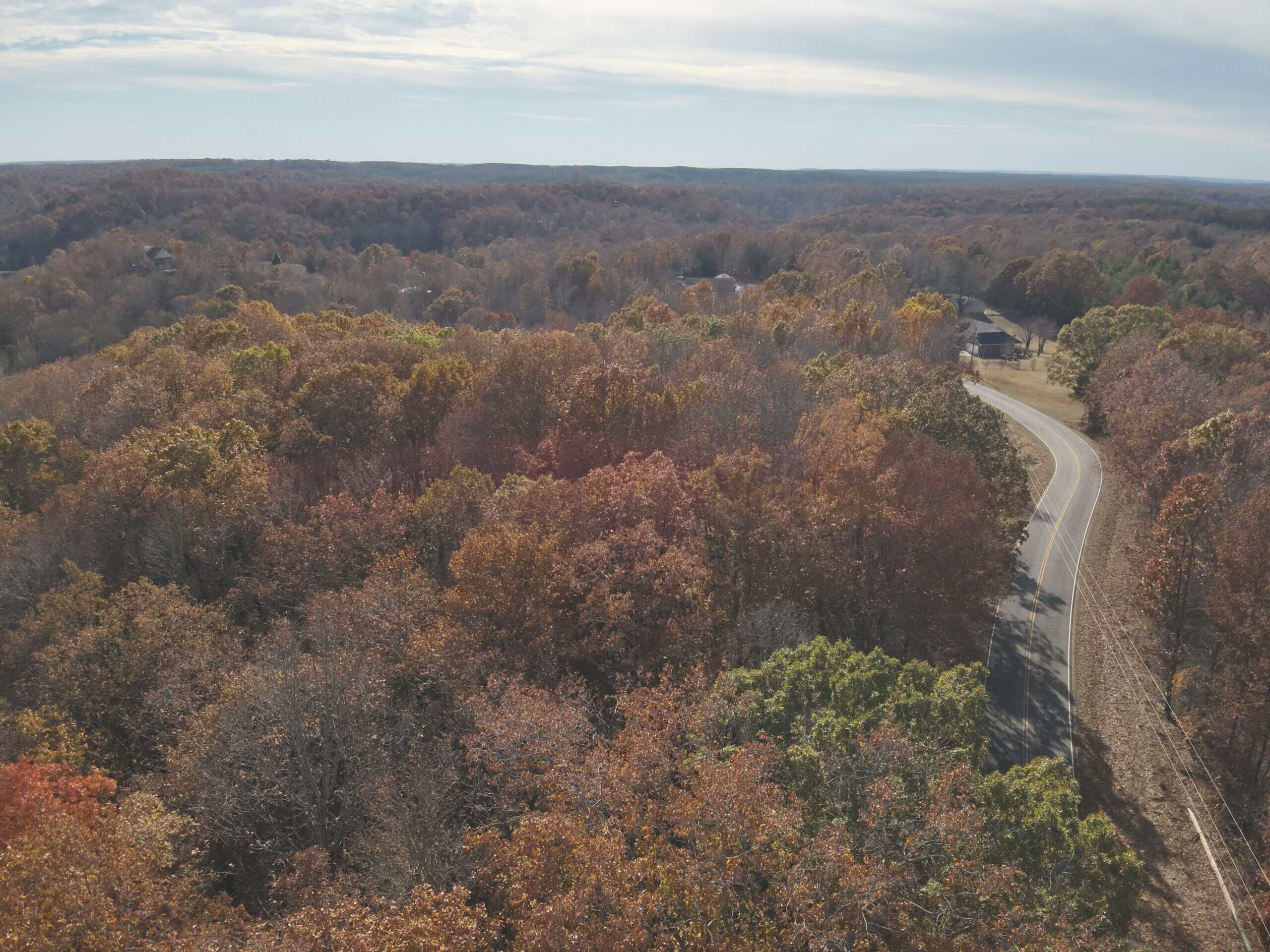 8 Unrestricted Wooded Acres For Sale!