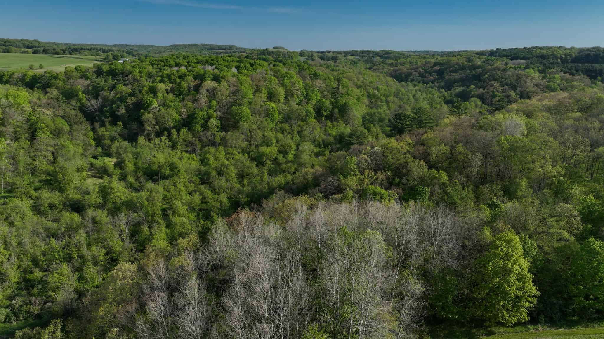 Three Ridges at Big Creek | 70± Acres of Recreational Land for Sale Near Lake Redstone | Juneau County, WI