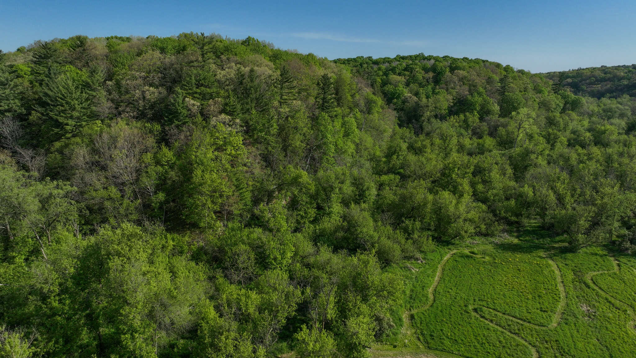 Three Ridges at Big Creek | 70± Acres of Recreational Land for Sale Near Lake Redstone | Juneau County, WI