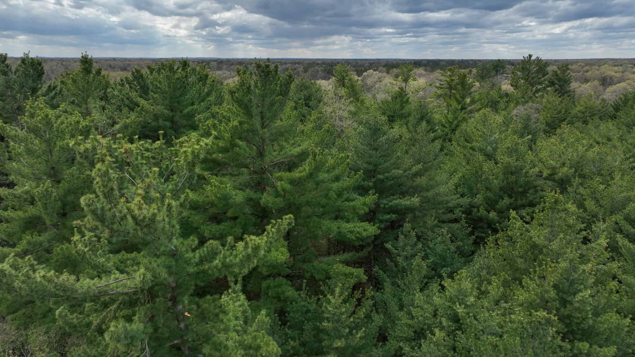 17.54-Acre Adams County, Wisconsin Buildable Land for Sale | Recreational, Investment & Development Potential