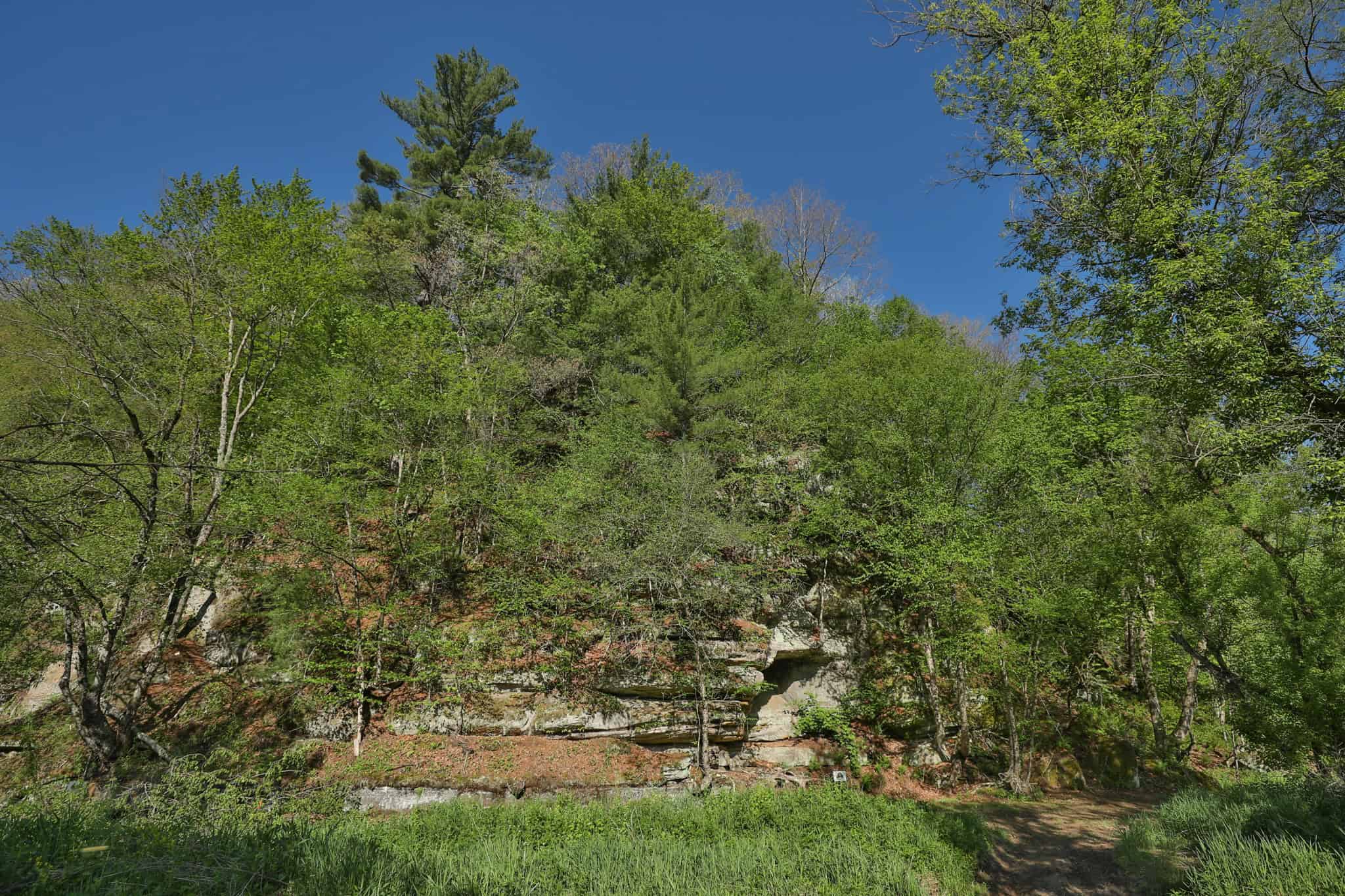 Three Ridges at Big Creek | 70± Acres of Recreational Land for Sale Near Lake Redstone | Juneau County, WI