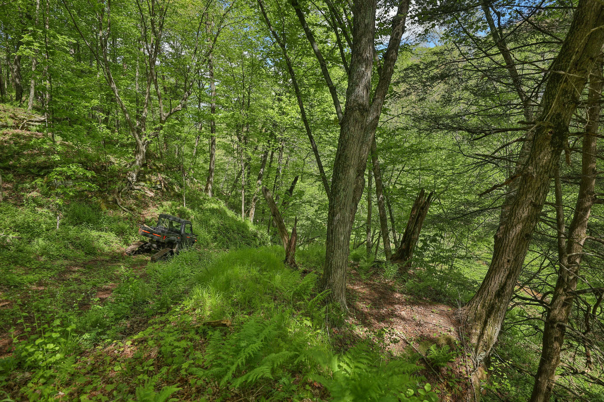 Three Ridges at Big Creek | 70± Acres of Recreational Land for Sale Near Lake Redstone | Juneau County, WI