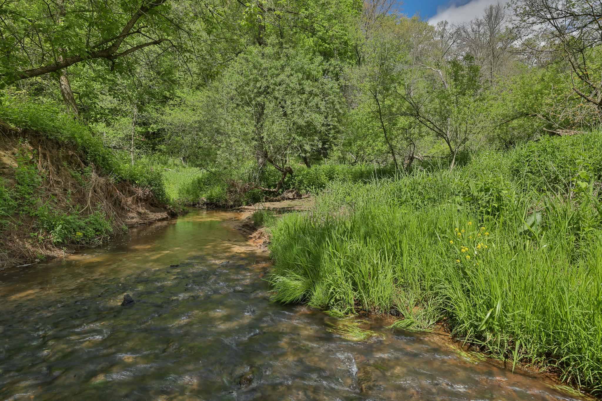 Three Ridges at Big Creek | 70± Acres of Recreational Land for Sale Near Lake Redstone | Juneau County, WI