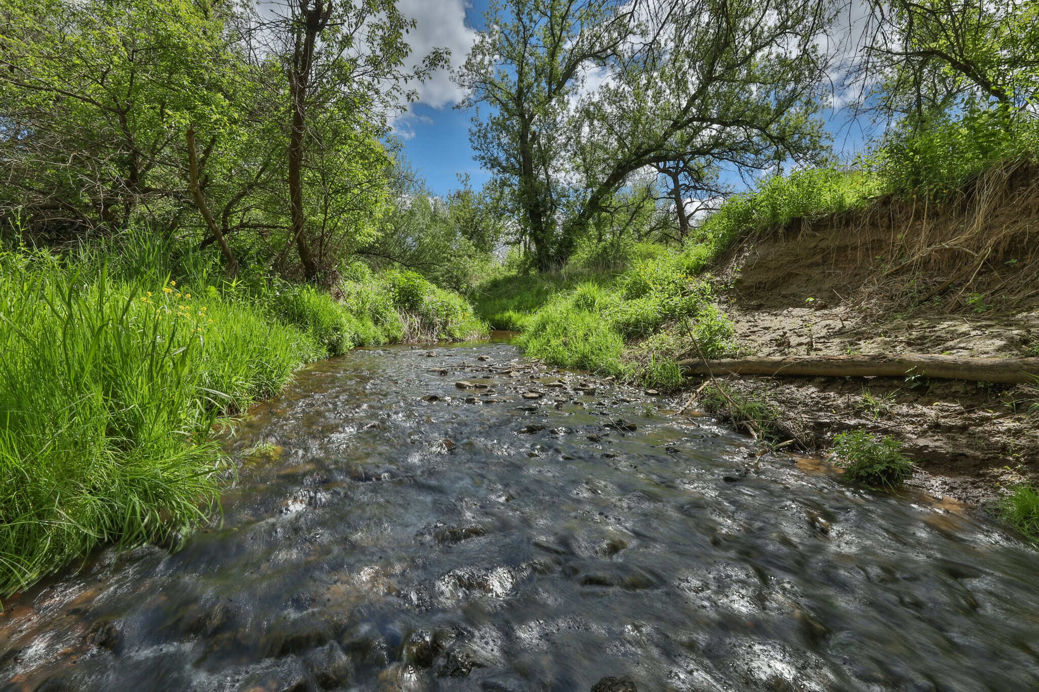 Three Ridges at Big Creek | 70± Acres of Recreational Land for Sale Near Lake Redstone | Juneau County, WI