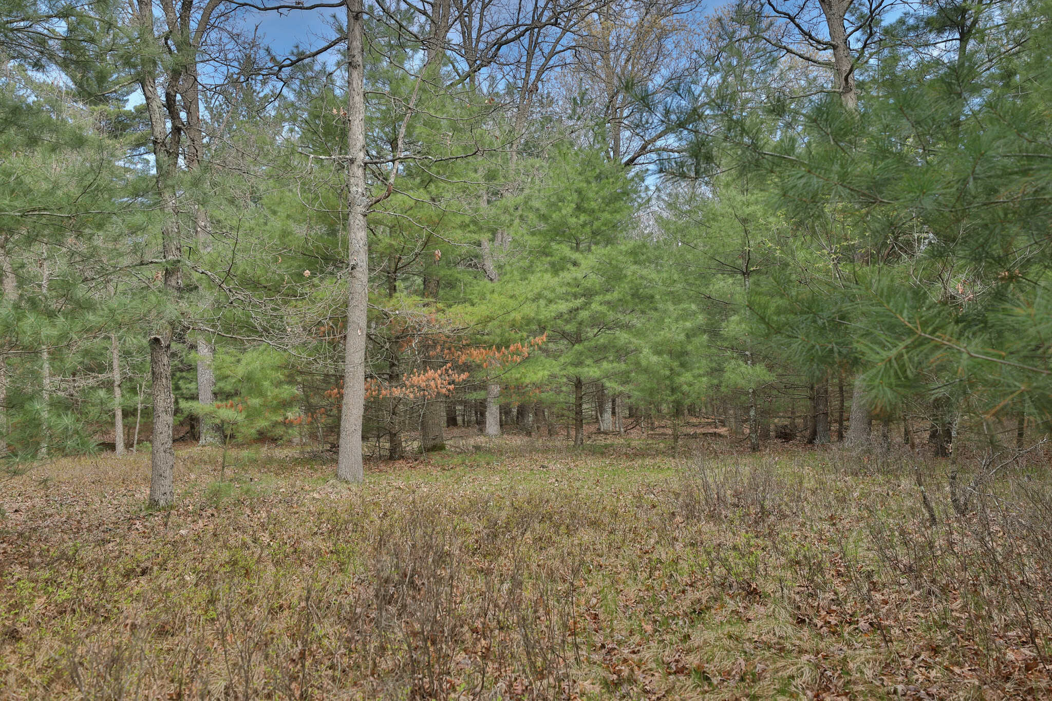 17.54-Acre Adams County, Wisconsin Buildable Land for Sale | Recreational, Investment & Development Potential