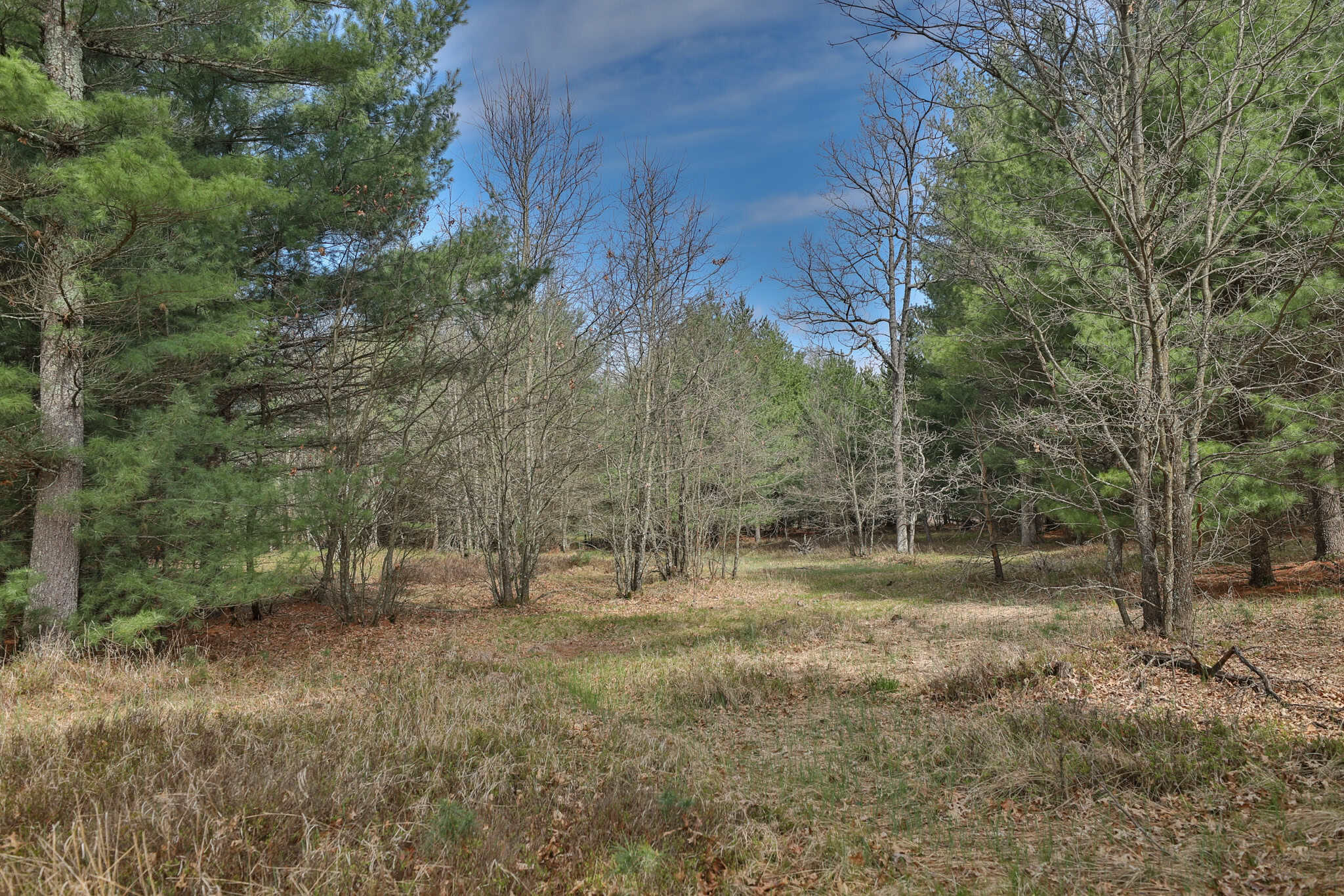 17.54-Acre Adams County, Wisconsin Buildable Land for Sale | Recreational, Investment & Development Potential