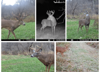 Three Ridges at Big Creek | 70± Acres of Recreational Land for Sale Near Lake Redstone | Juneau County, WI