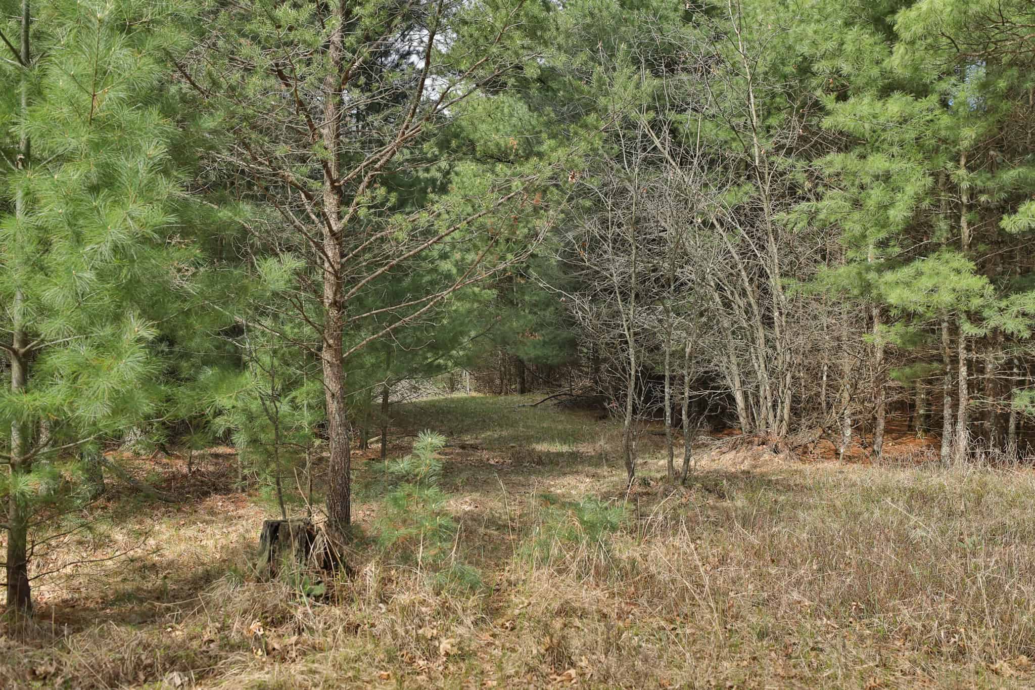 17.54-Acre Adams County, Wisconsin Buildable Land for Sale | Recreational, Investment & Development Potential