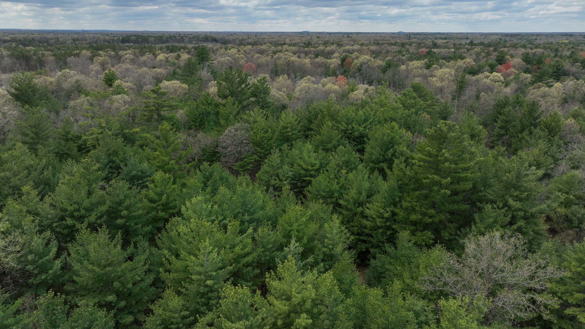 17.54-Acre Adams County, Wisconsin Buildable Land for Sale | Recreational, Investment & Development Potential