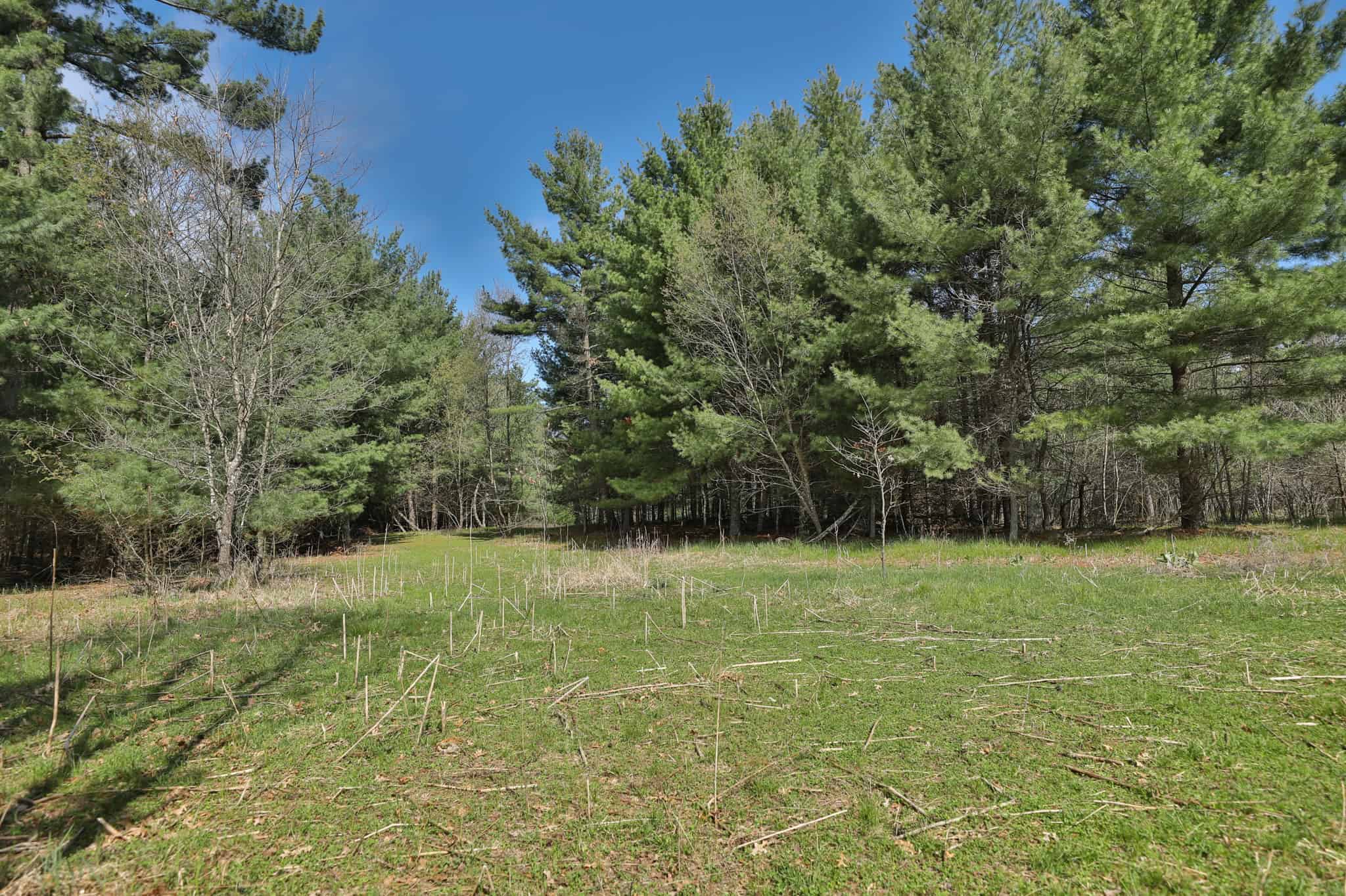 17.54-Acre Adams County, Wisconsin Buildable Land for Sale | Recreational, Investment & Development Potential