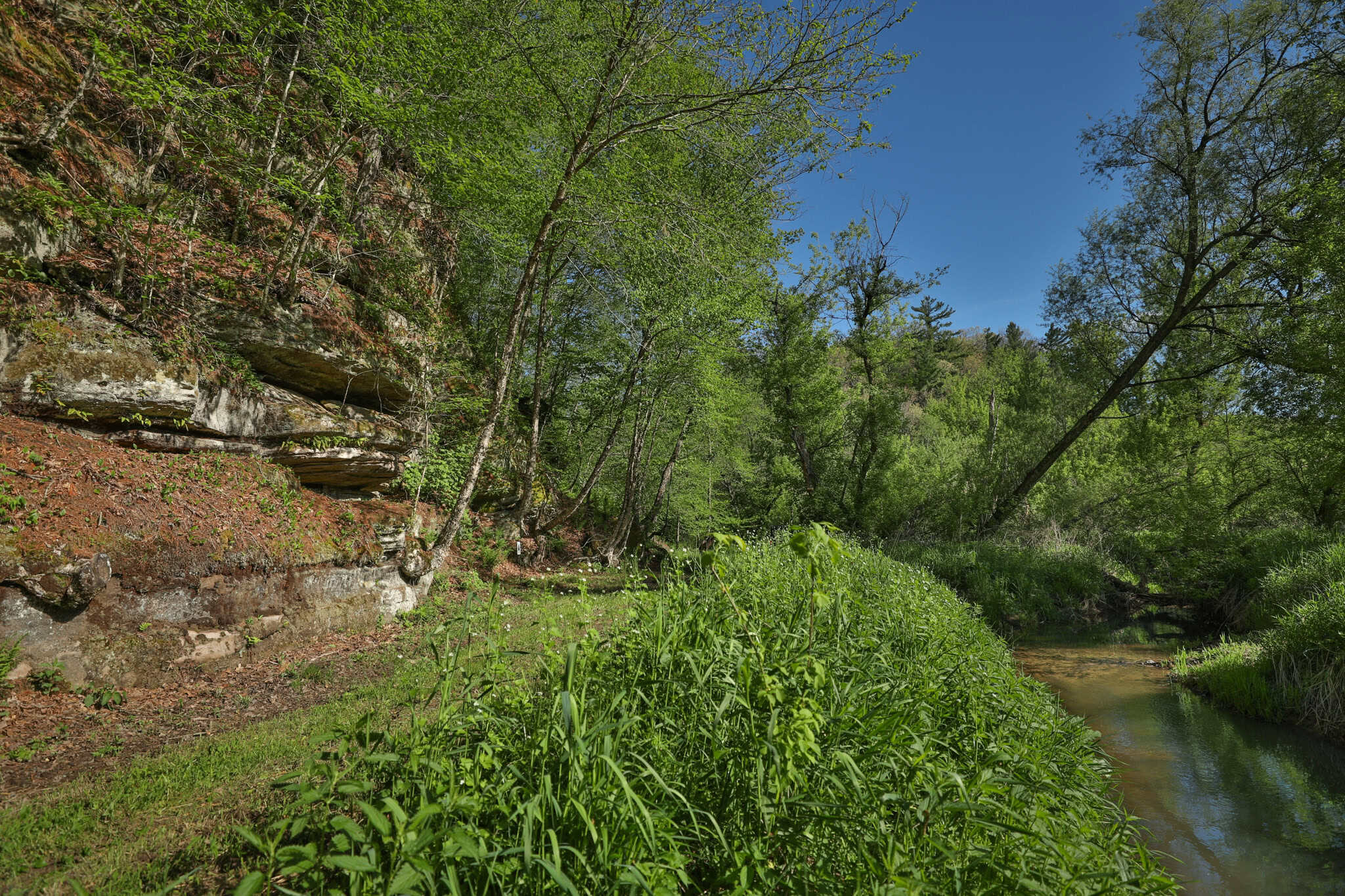 Three Ridges at Big Creek | 70± Acres of Recreational Land for Sale Near Lake Redstone | Juneau County, WI