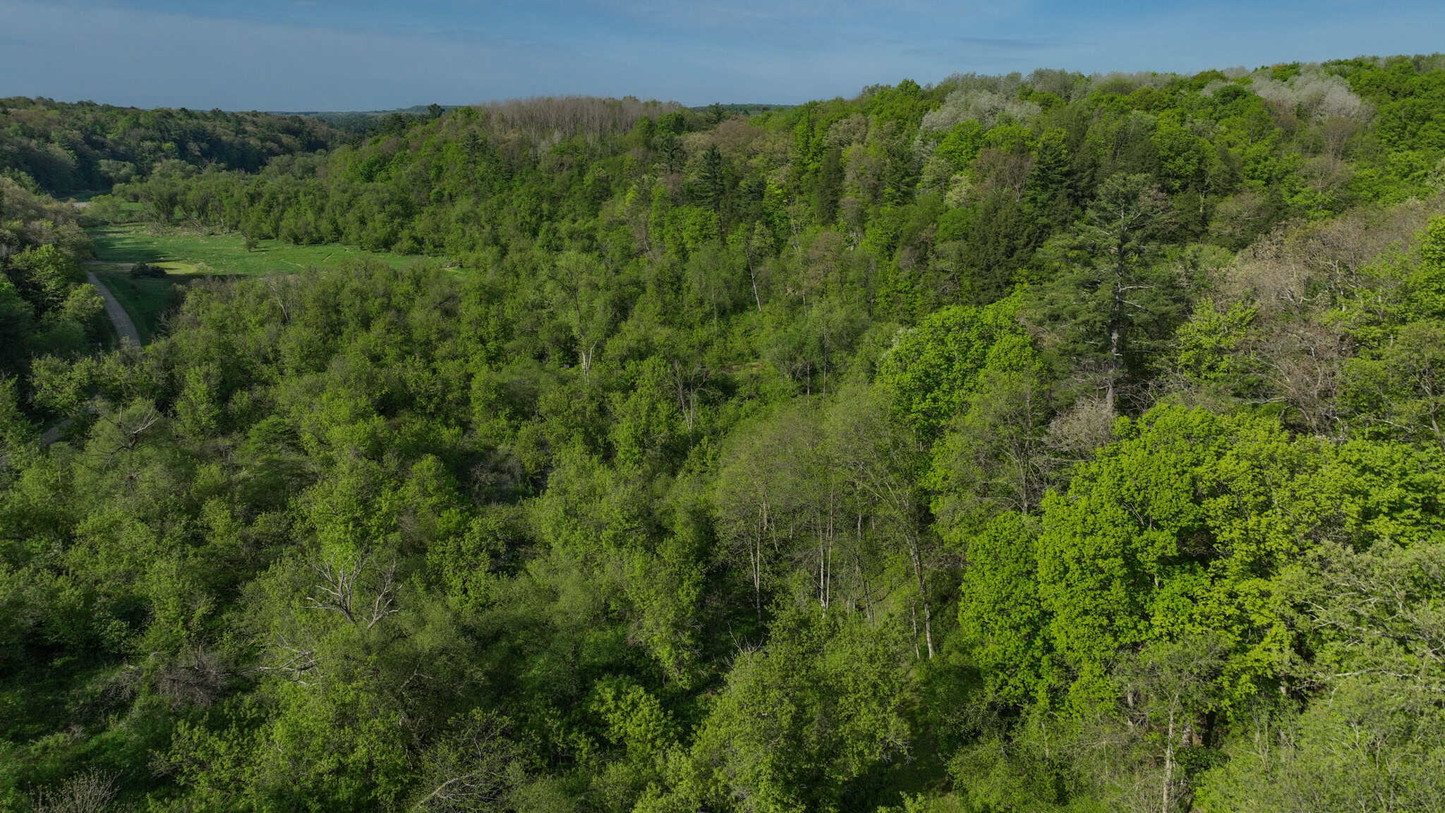 Three Ridges at Big Creek | 70± Acres of Recreational Land for Sale Near Lake Redstone | Juneau County, WI