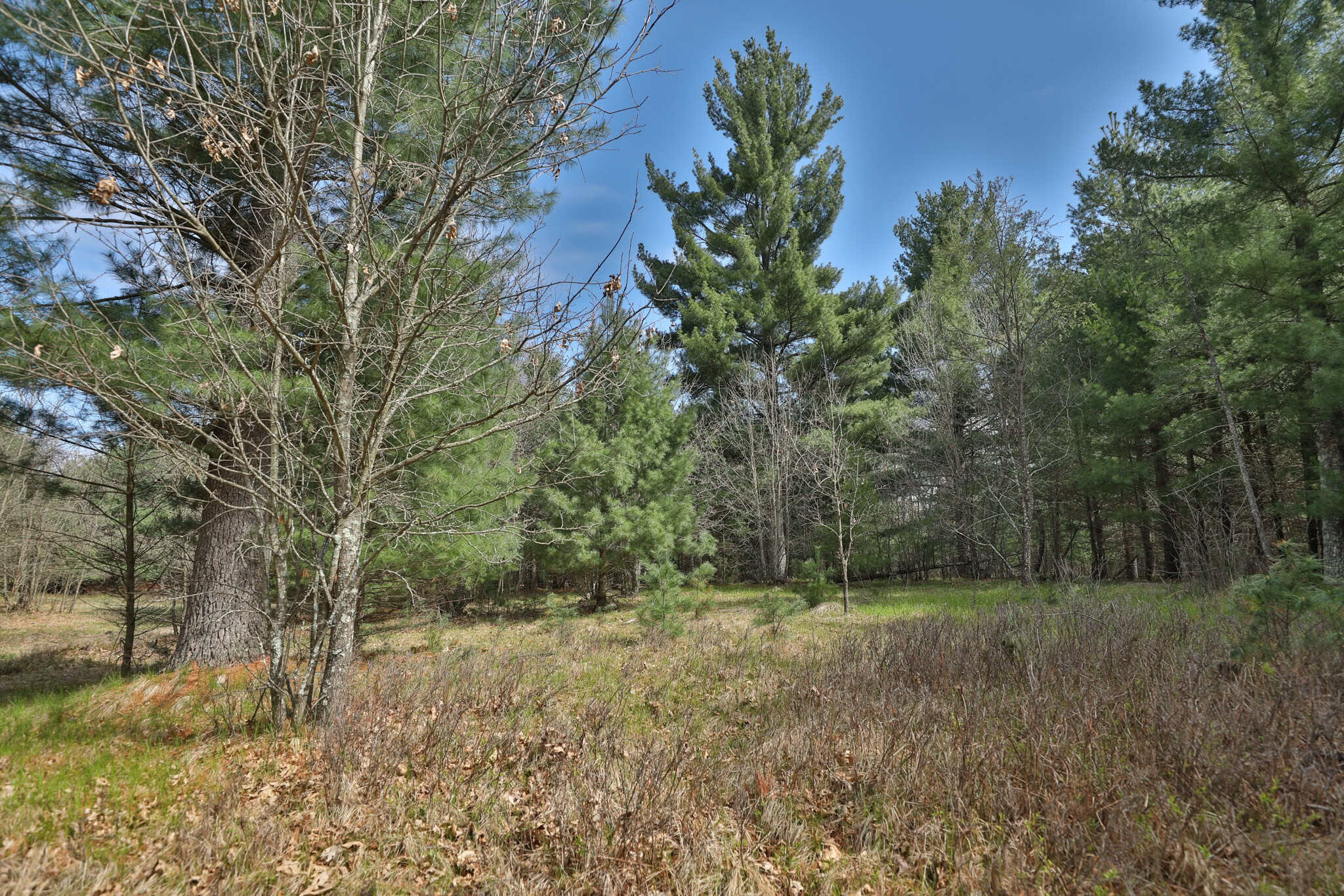 17.54-Acre Adams County, Wisconsin Buildable Land for Sale | Recreational, Investment & Development Potential
