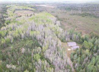 120 ± Acres with New Cabin located in Butternut, WI