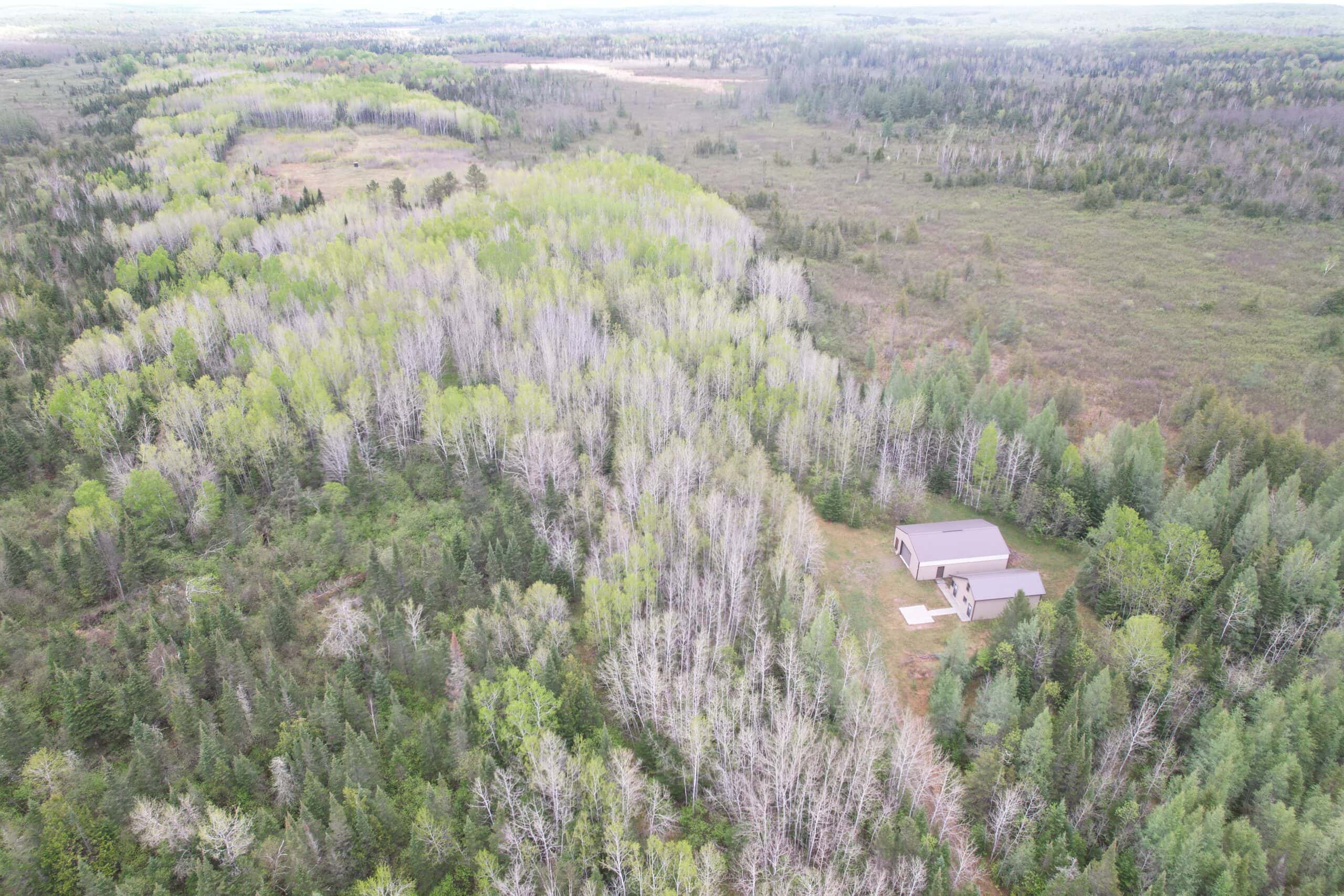 120 ± Acres with New Cabin located in Butternut, WI