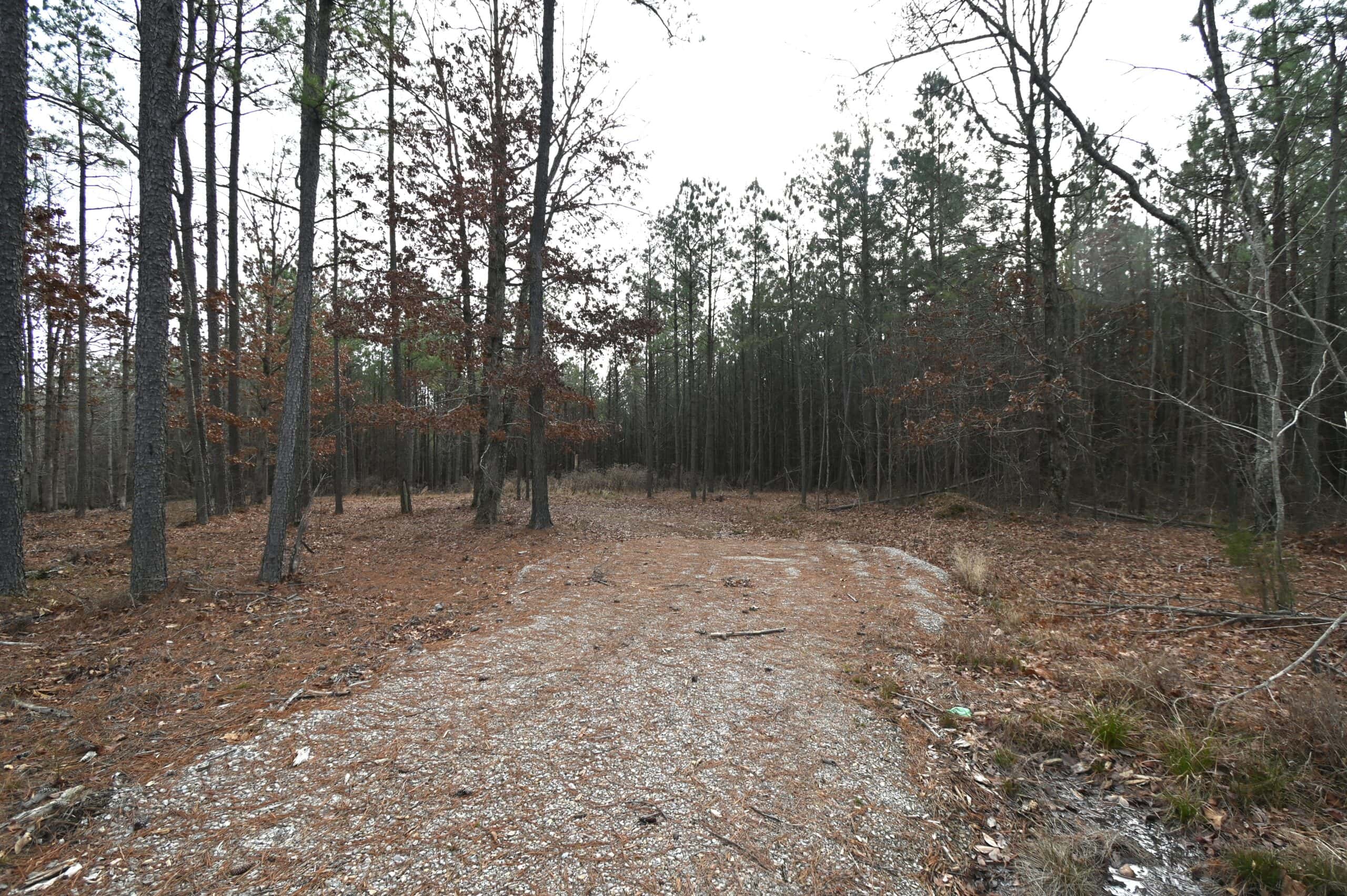 20 Wooded Acres For Sale in Lewis County, Tennessee