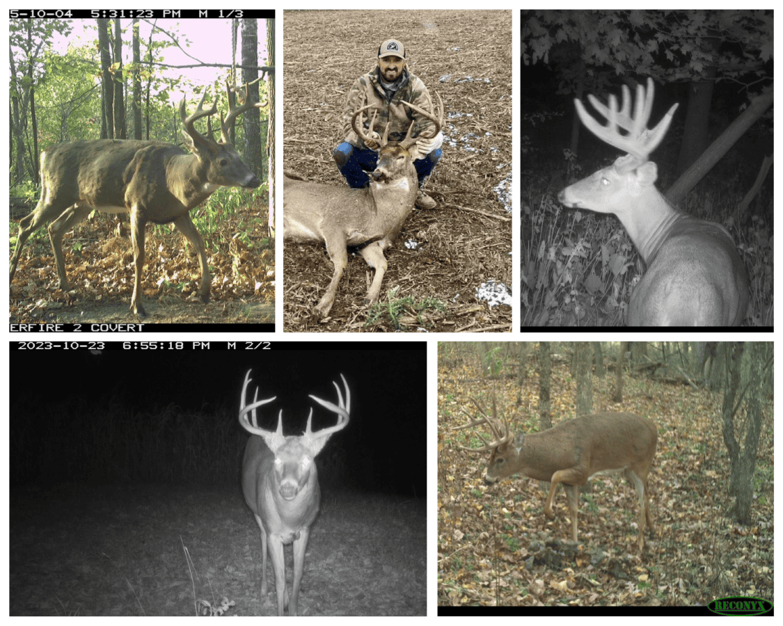 92-Acre Driftless Region Luxury Hunting Estate for Sale in Richland County, Wisconsin | Custom Home, Trophy Whitetails & Ridge-Top Views