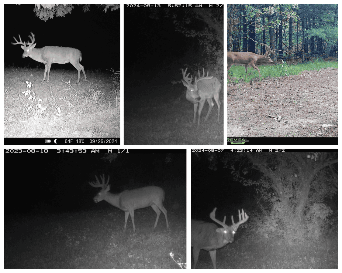 92-Acre Driftless Region Luxury Hunting Estate for Sale in Richland County, Wisconsin | Custom Home, Trophy Whitetails & Ridge-Top Views