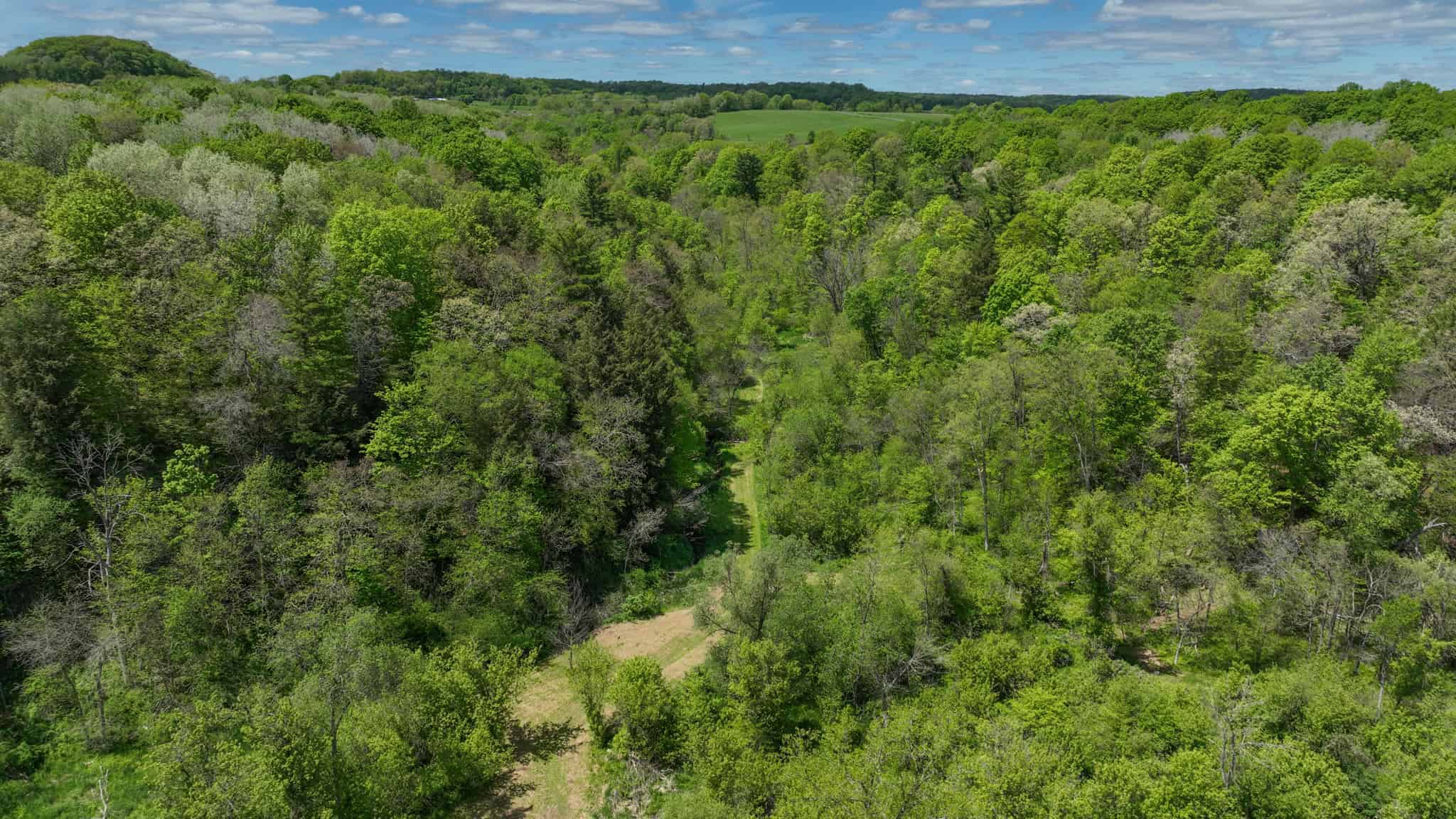 Three Ridges at Big Creek | 70± Acres of Recreational Land for Sale Near Lake Redstone | Juneau County, WI