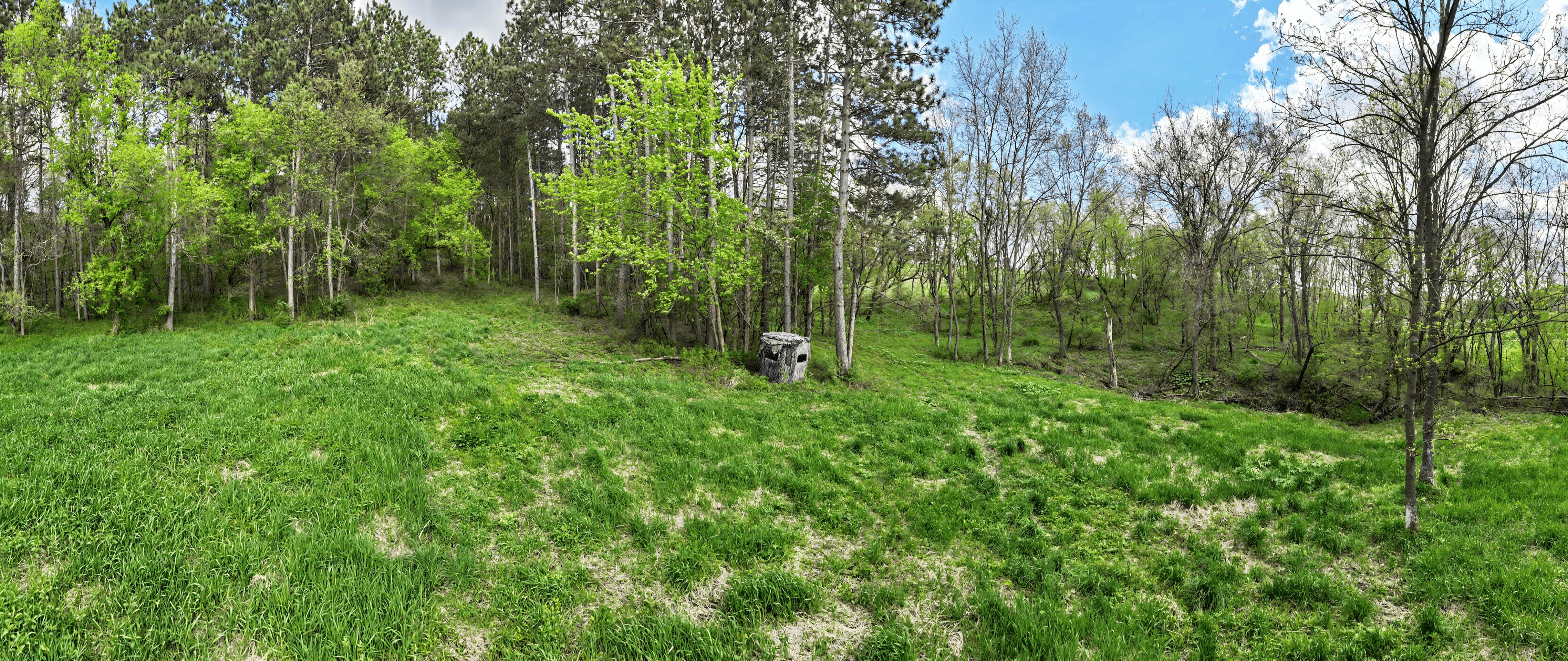 Extraordinary 35-Acre Executive Estate in La Crosse WI