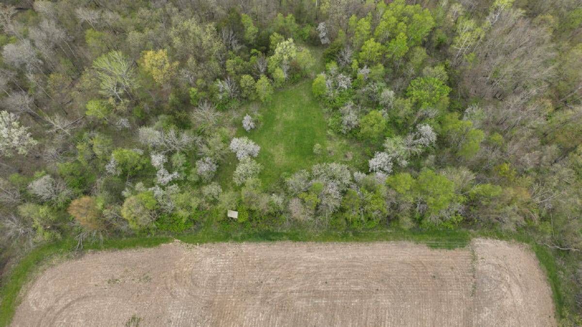 92-Acre Driftless Region Luxury Hunting Estate for Sale in Richland County, Wisconsin | Custom Home, Trophy Whitetails & Ridge-Top Views