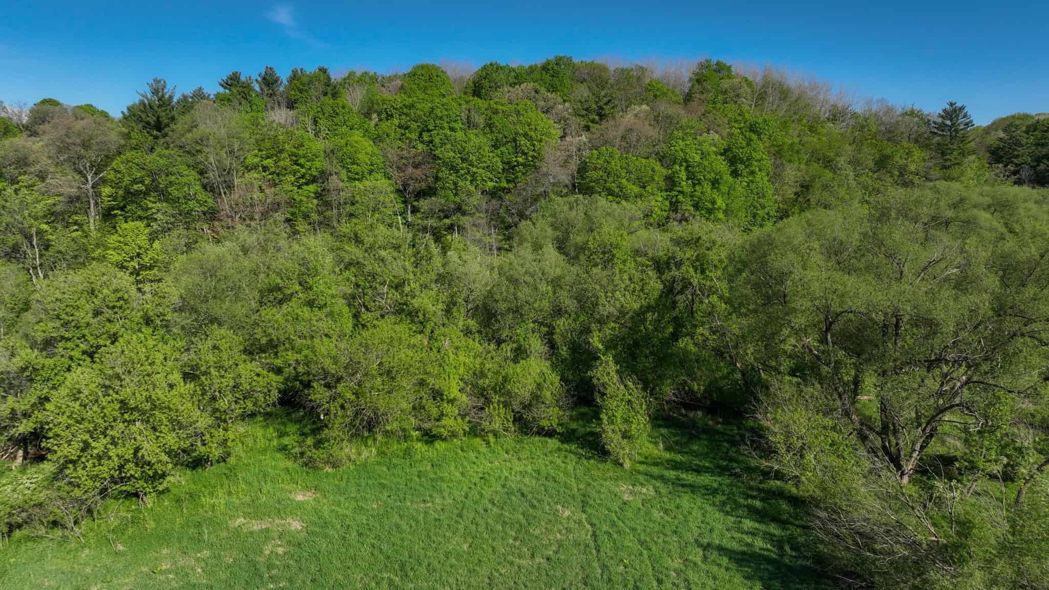 Three Ridges at Big Creek | 70± Acres of Recreational Land for Sale Near Lake Redstone | Juneau County, WI
