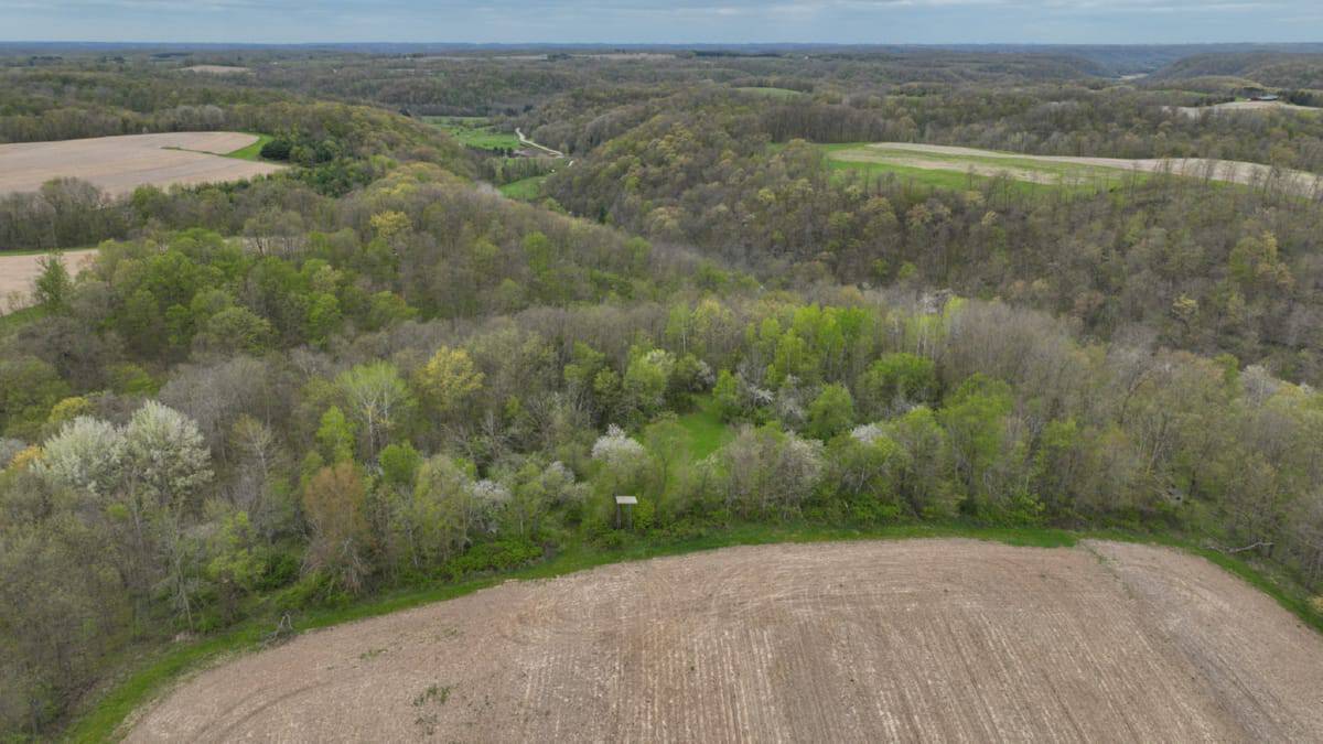92-Acre Driftless Region Luxury Hunting Estate for Sale in Richland County, Wisconsin | Custom Home, Trophy Whitetails & Ridge-Top Views
