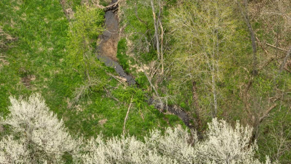 92-Acre Driftless Region Luxury Hunting Estate for Sale in Richland County, Wisconsin | Custom Home, Trophy Whitetails & Ridge-Top Views