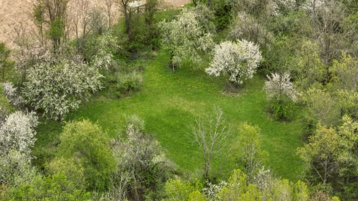 92-Acre Driftless Region Luxury Hunting Estate for Sale in Richland County, Wisconsin | Custom Home, Trophy Whitetails & Ridge-Top Views