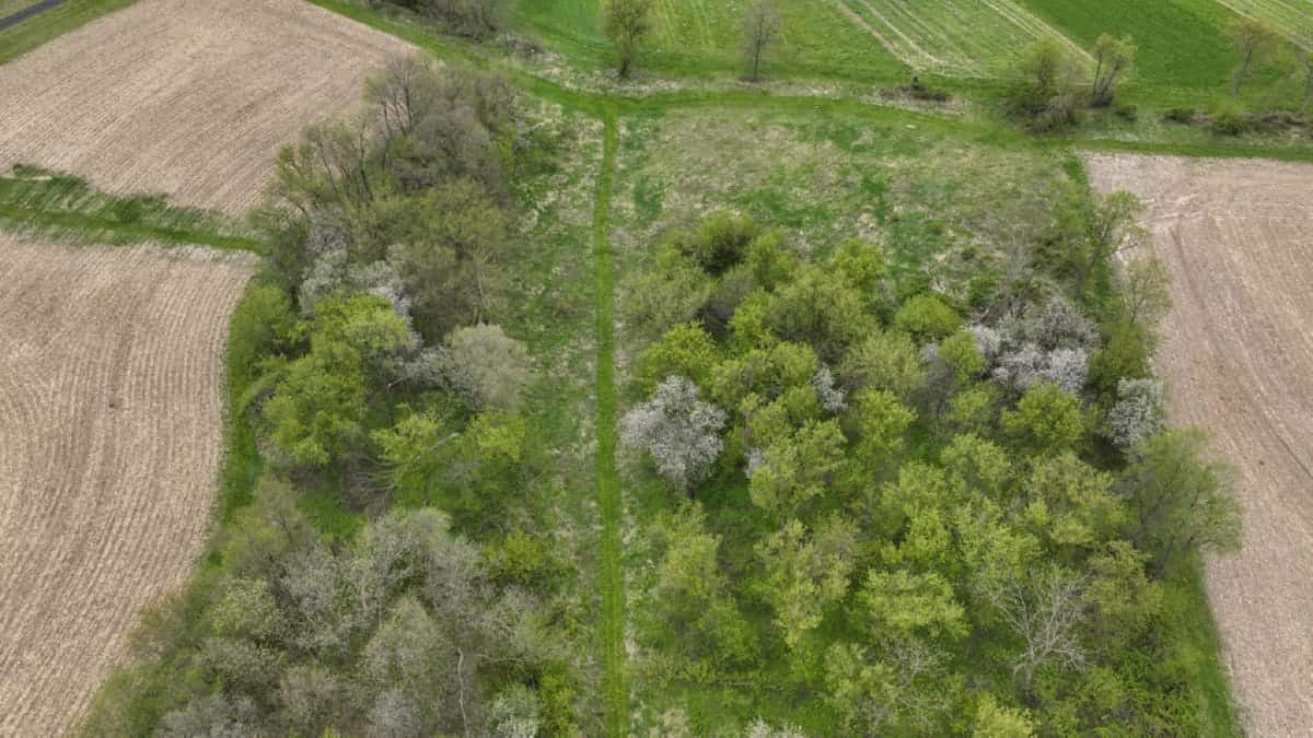 92-Acre Driftless Region Luxury Hunting Estate for Sale in Richland County, Wisconsin | Custom Home, Trophy Whitetails & Ridge-Top Views