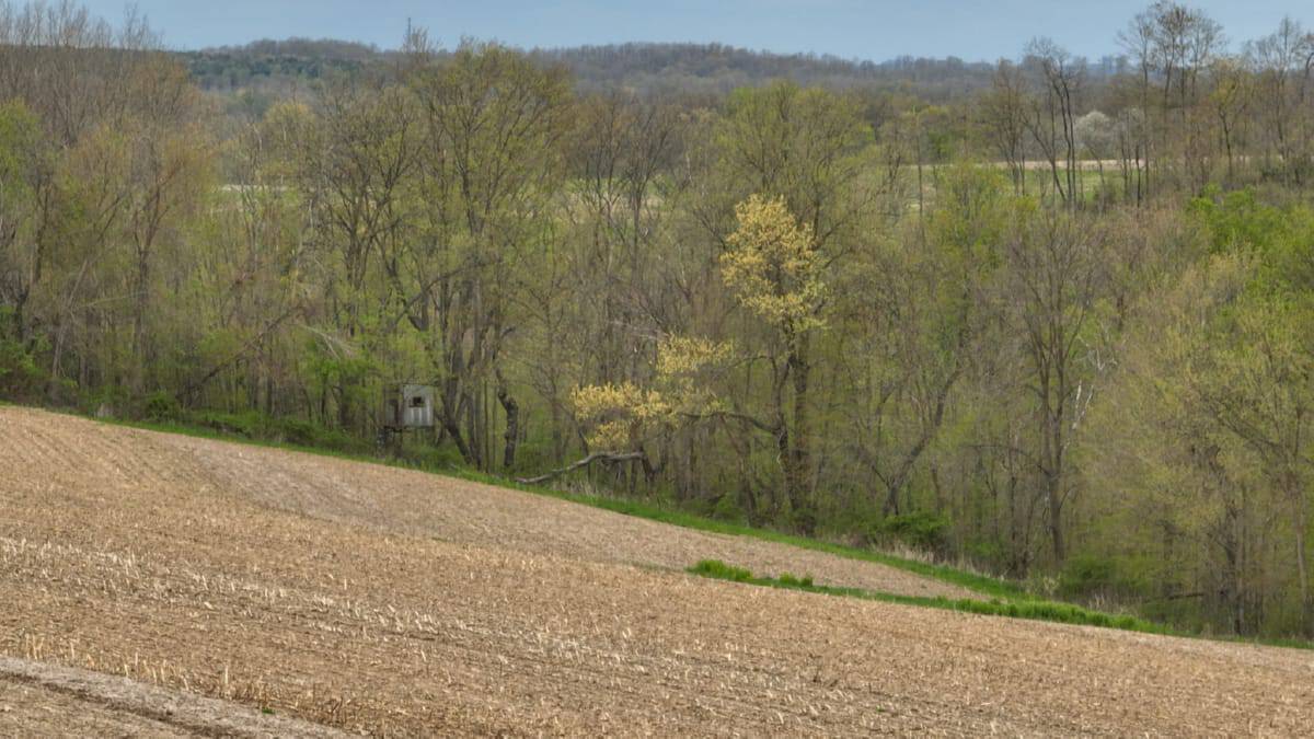 92-Acre Driftless Region Luxury Hunting Estate for Sale in Richland County, Wisconsin | Custom Home, Trophy Whitetails & Ridge-Top Views