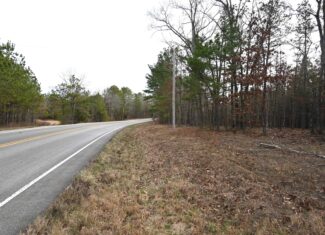 20 Wooded Acres For Sale in Lewis County, Tennessee