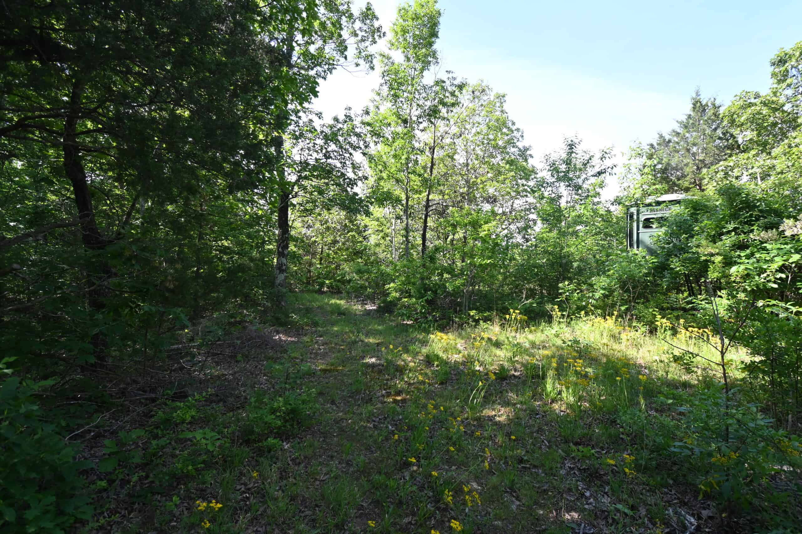Tennessee Woods Land For Sale! 59.28 ac only minutes to TN River!