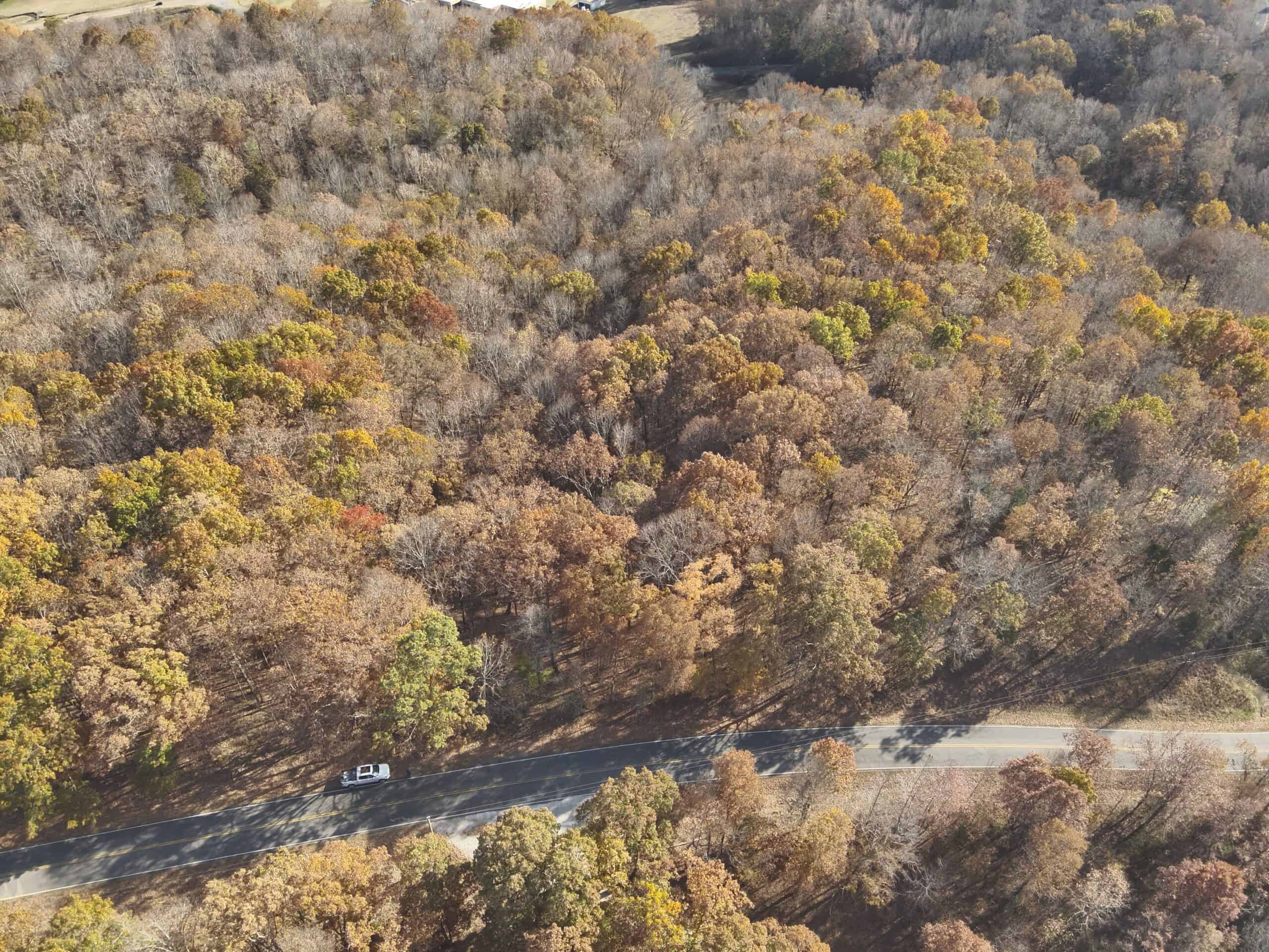 8 Unrestricted Wooded Acres For Sale!