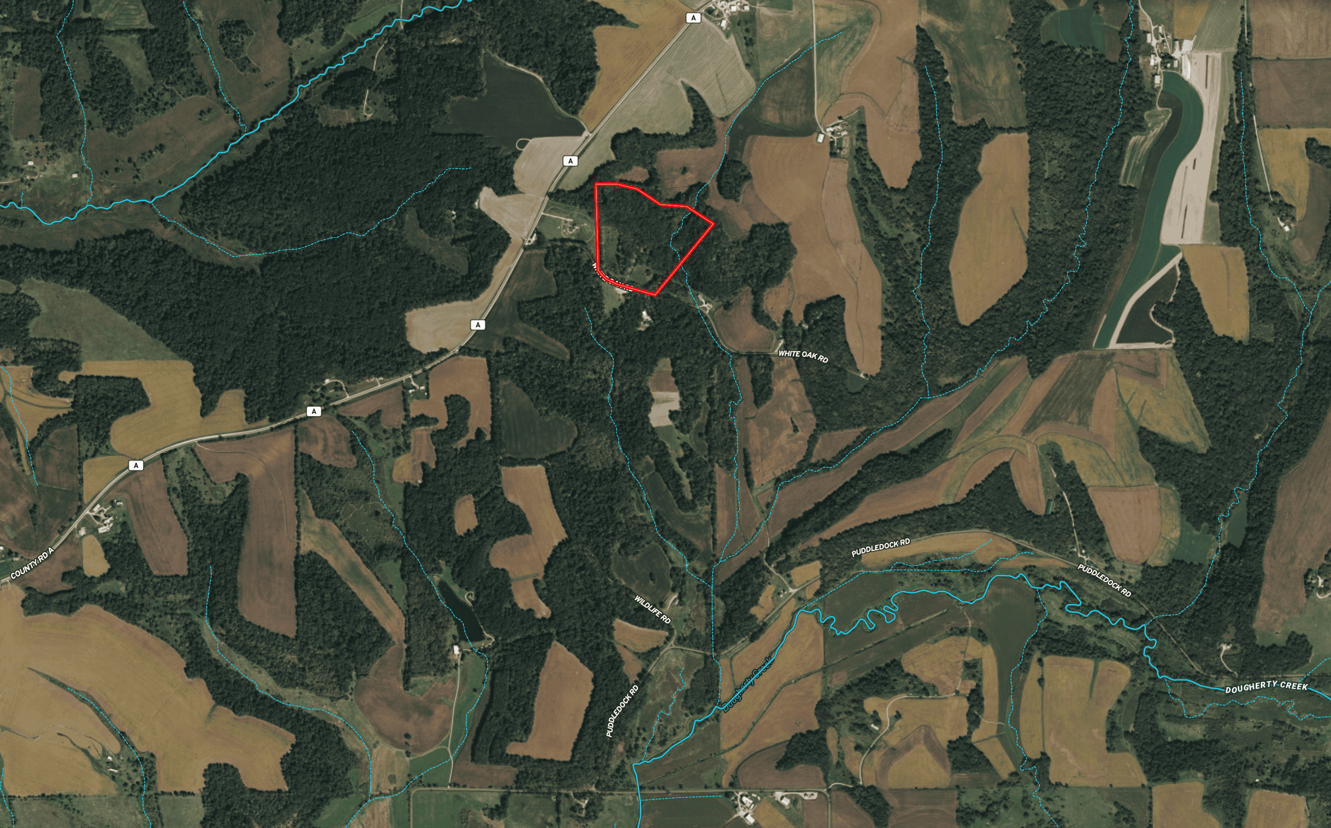 30-Acre Luxury Log Estate | Trophy Whitetail Sanctuary & Private Legacy Retreat in Argyle
