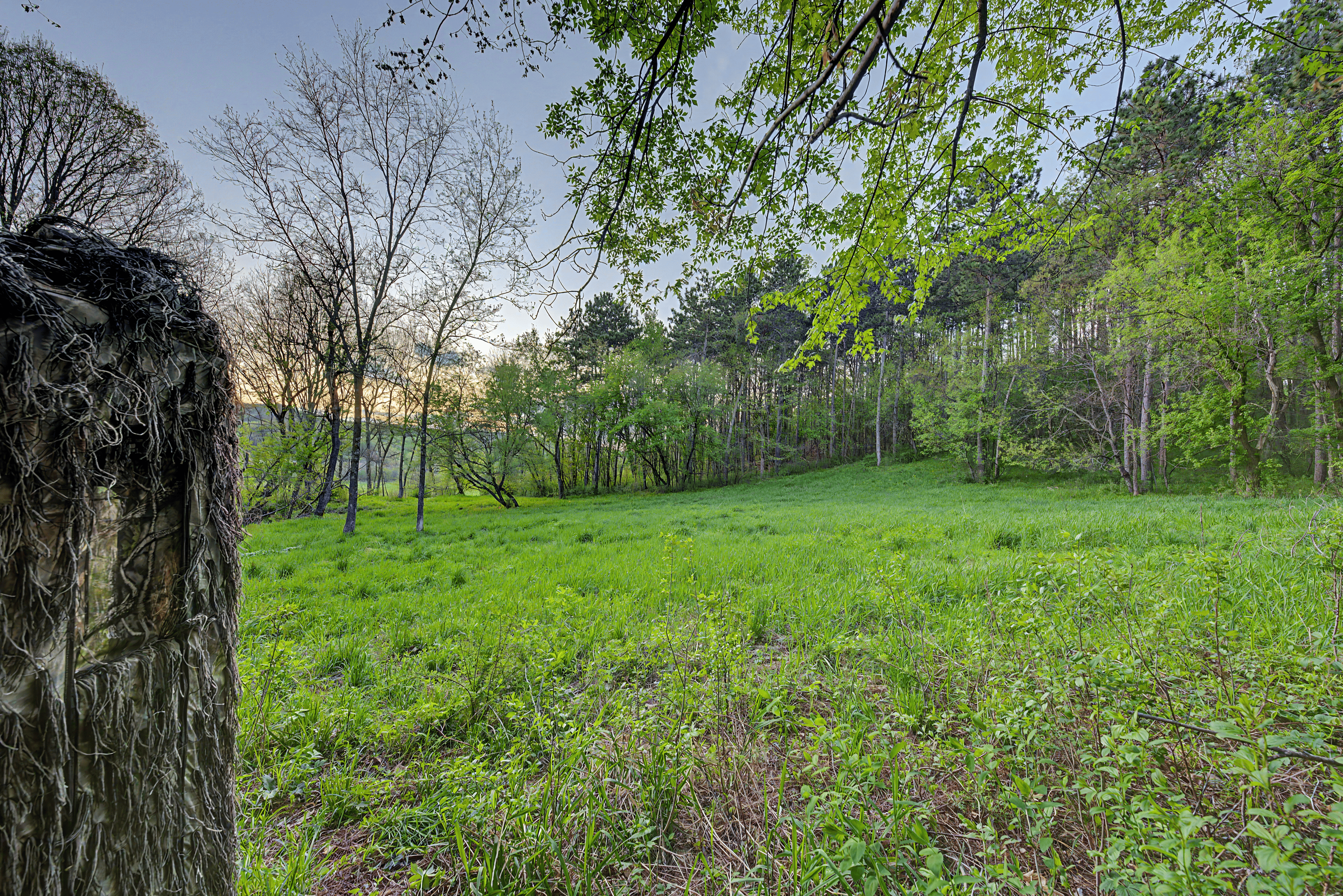 Extraordinary 35-Acre Executive Estate in La Crosse WI