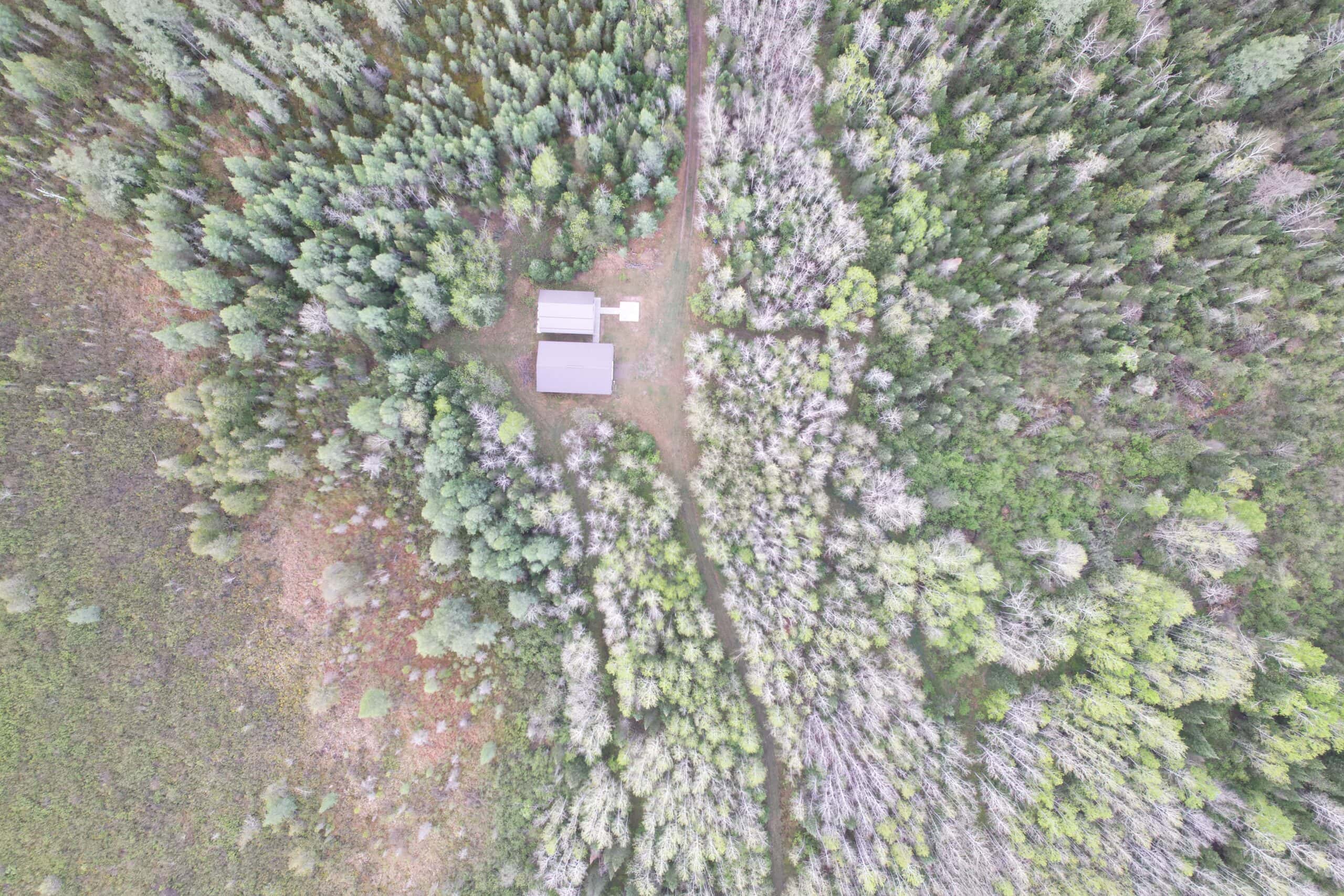 120 ± Acres with New Cabin located in Butternut, WI