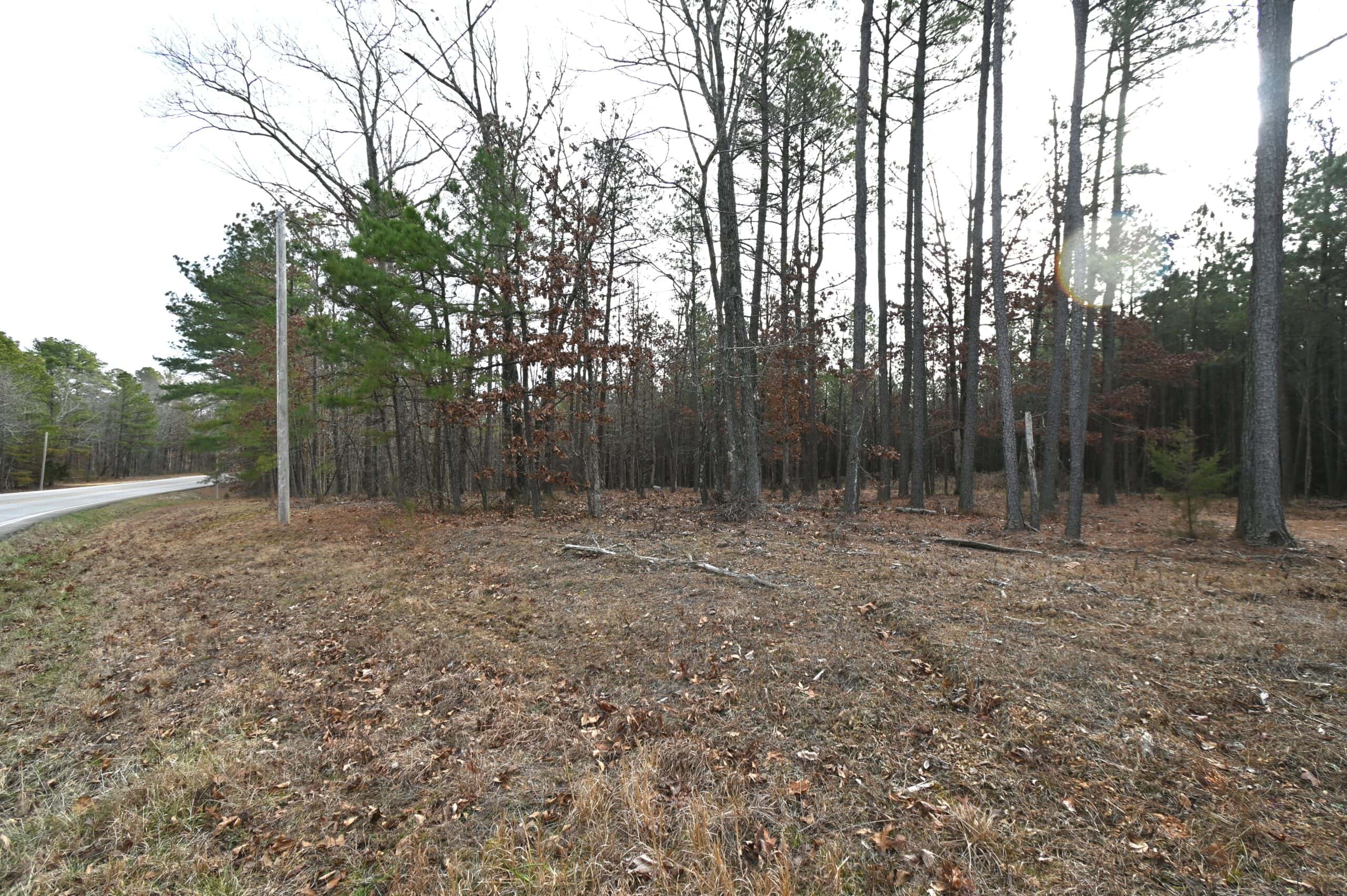 20 Wooded Acres For Sale in Lewis County, Tennessee