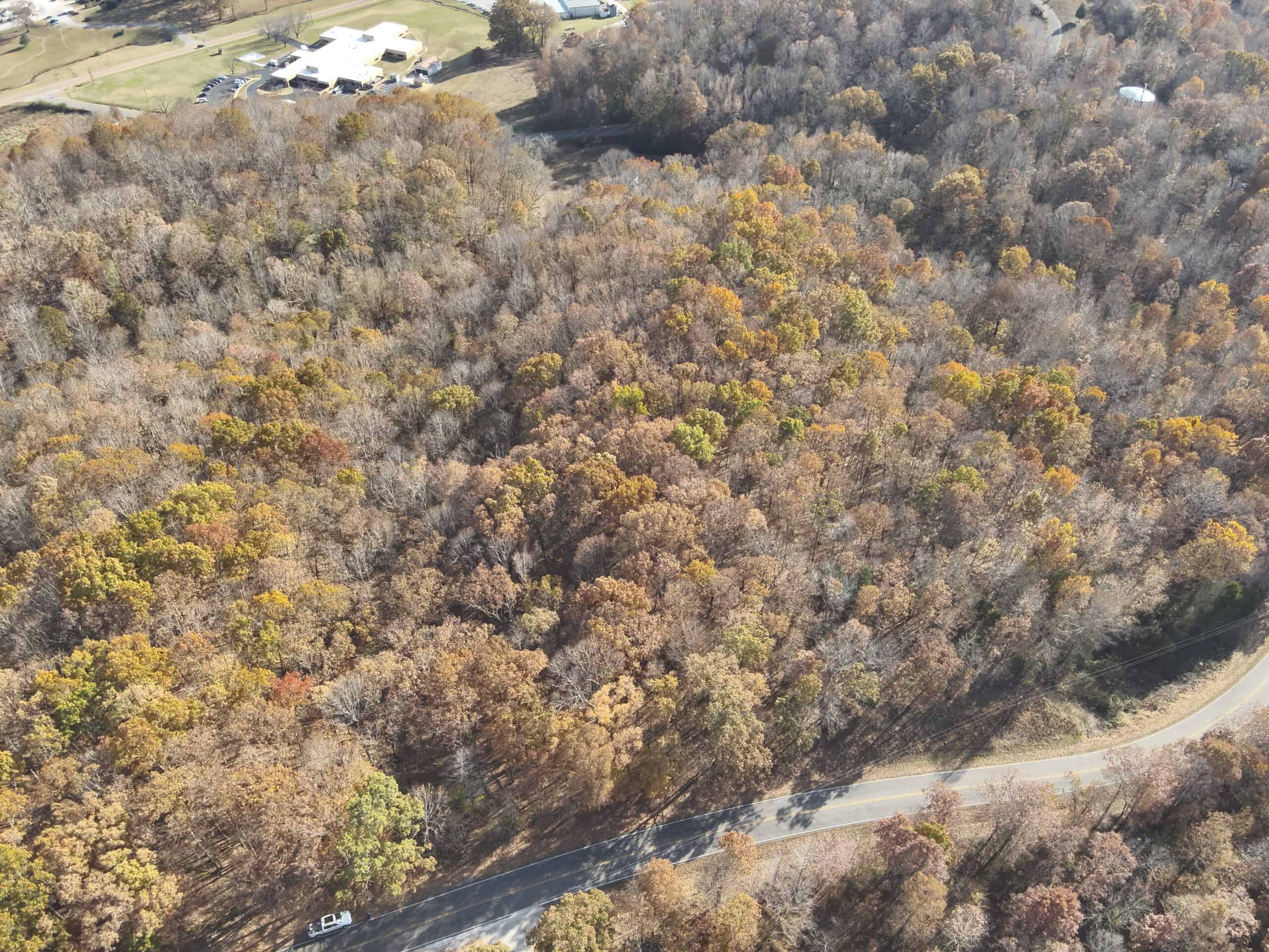 8 Unrestricted Wooded Acres For Sale!