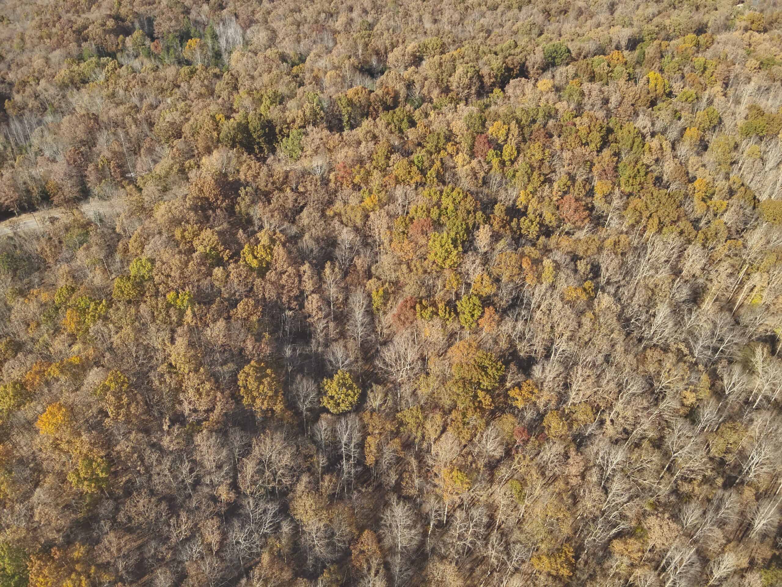8 Unrestricted Wooded Acres For Sale!