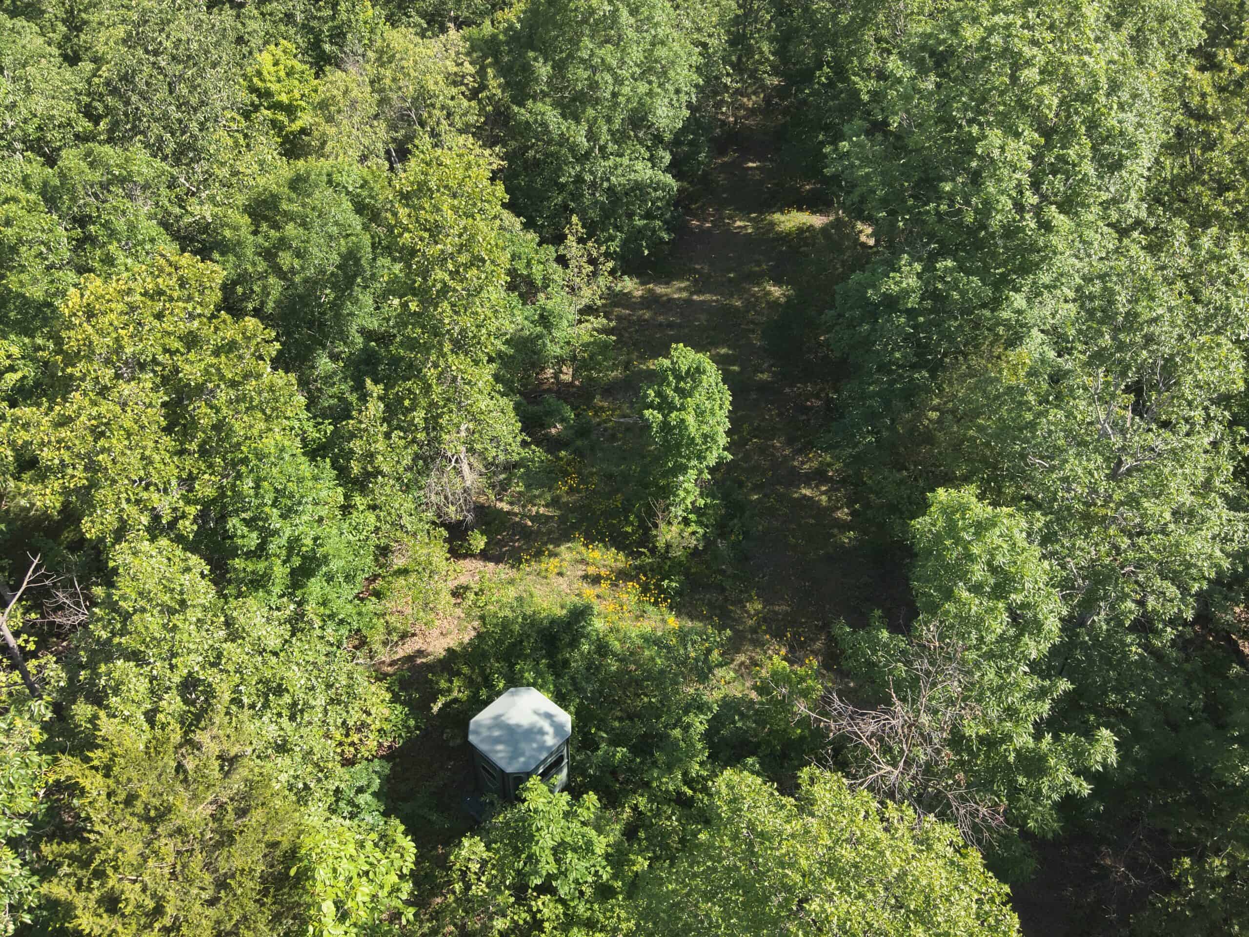 Tennessee Woods Land For Sale! 59.28 ac only minutes to TN River!