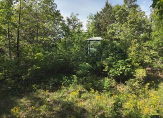Tennessee Woods Land For Sale! 59.28 ac only minutes to TN River!