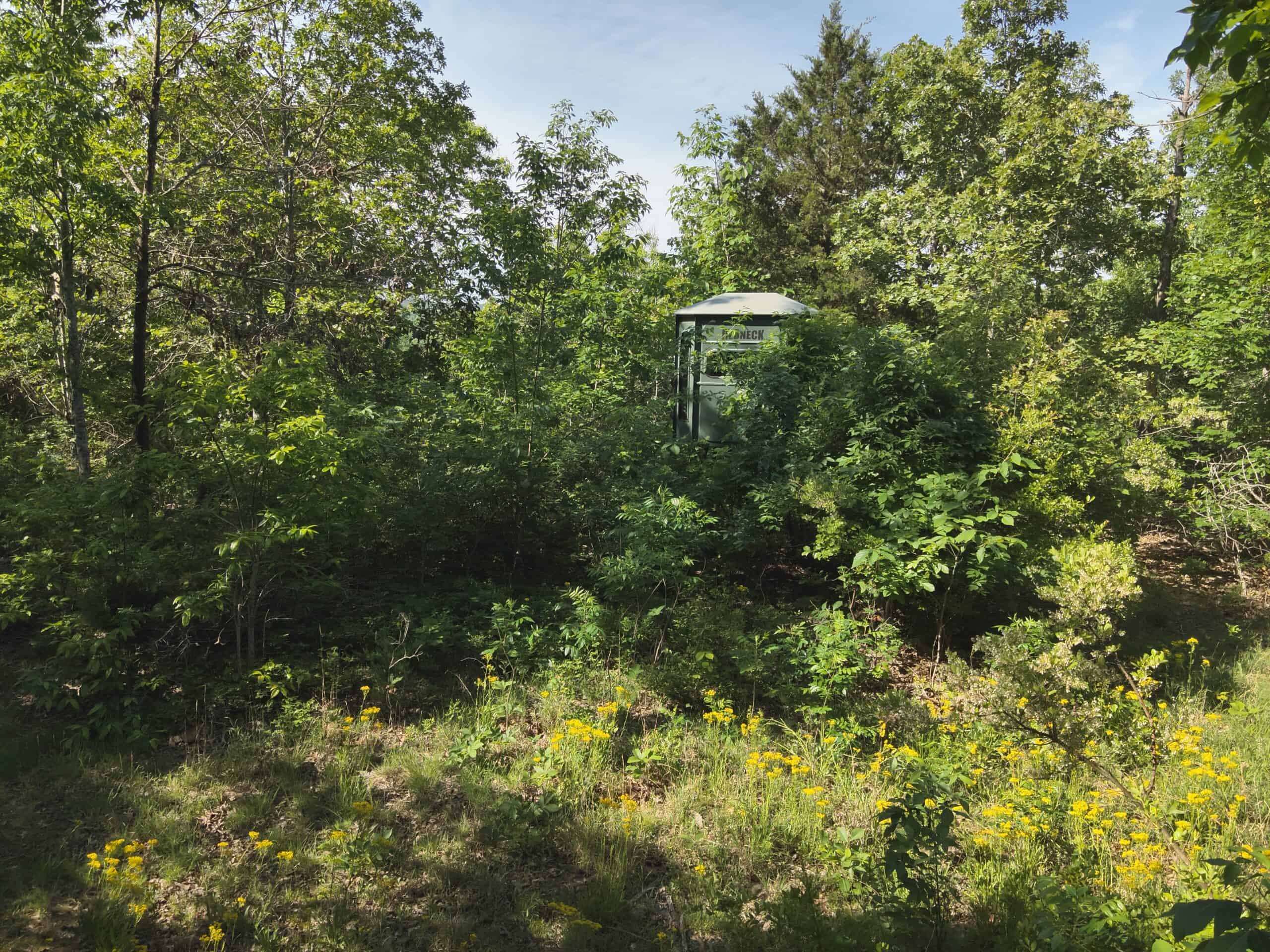 Tennessee Woods Land For Sale! 59.28 ac only minutes to TN River!