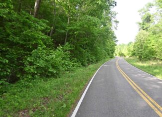 Tennessee Woods Land For Sale! 59.28 ac only minutes to TN River!