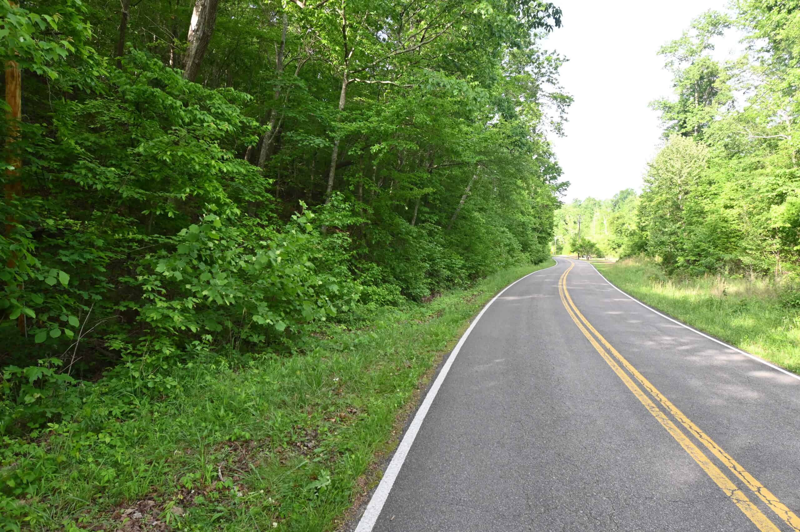 Tennessee Woods Land For Sale! 59.28 ac only minutes to TN River!