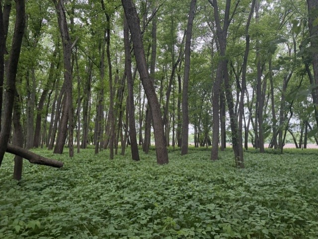 Trophy Whitetail Farm In NW Missouri For Sale – 45 Acres